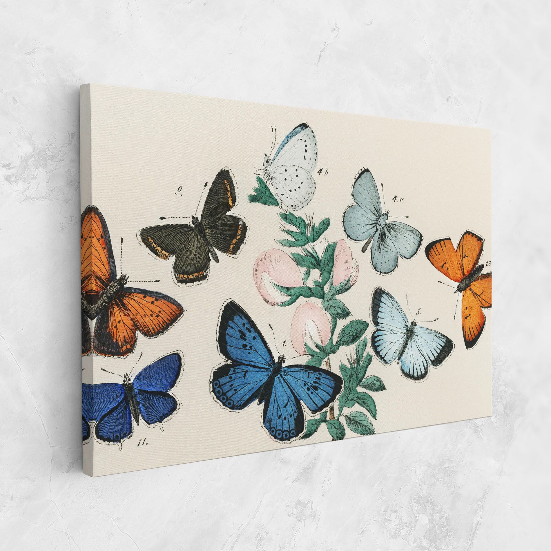 Moving Butterflies mockup 1