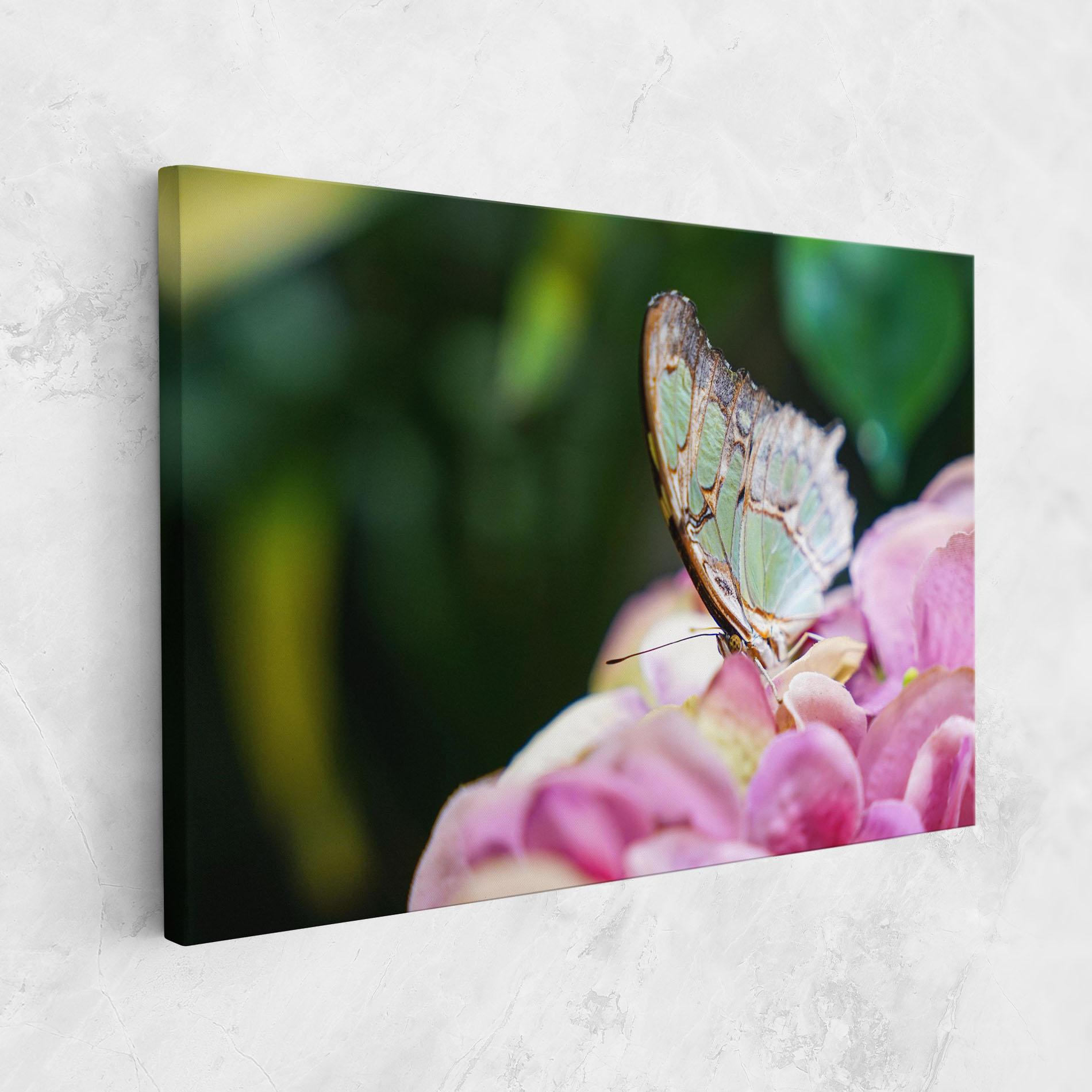 Leinwandbild Nazrin Babashova DiUUmQMFWys Unsplash mockup 1