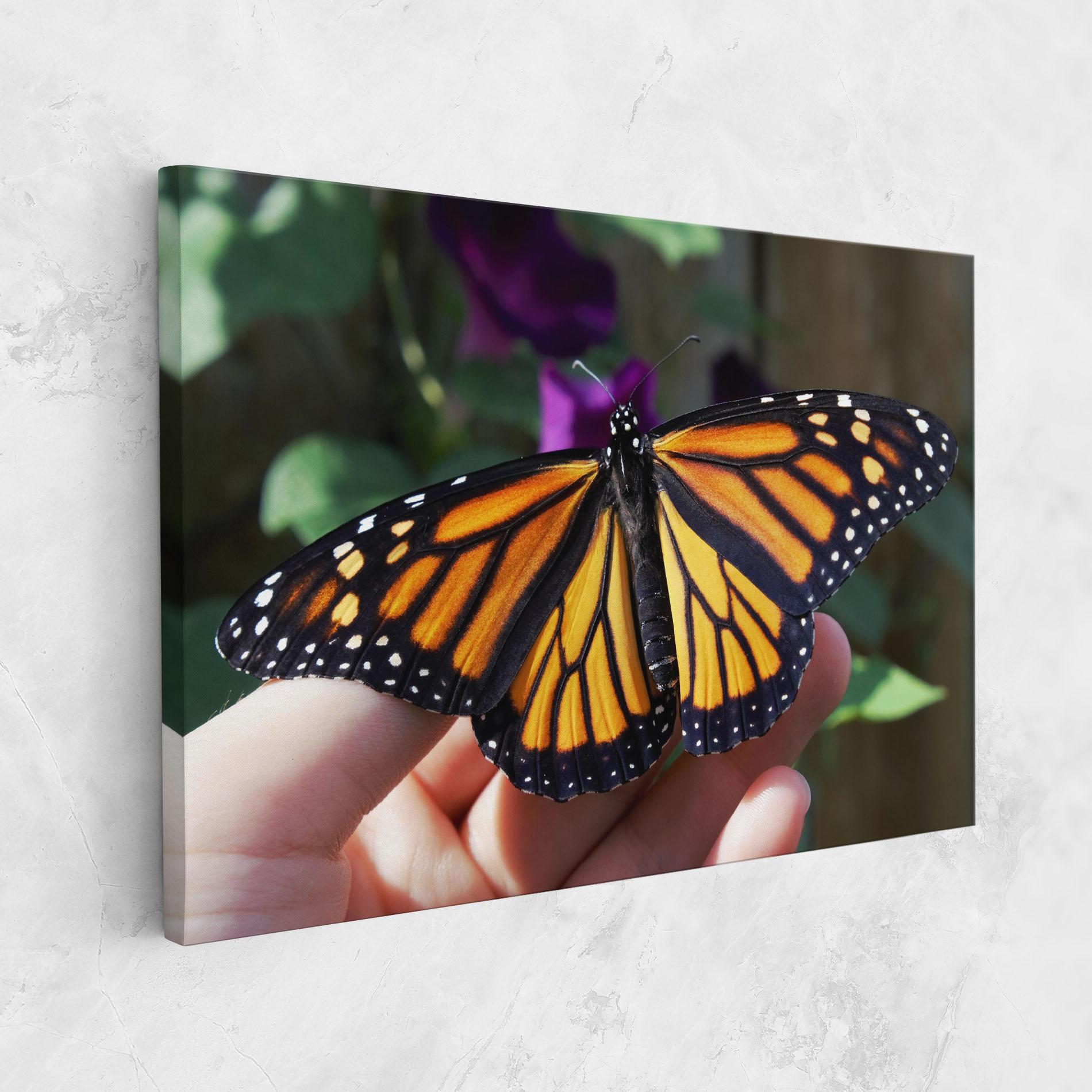 Leinwandbild Open Orange Butterfly mockup 1
