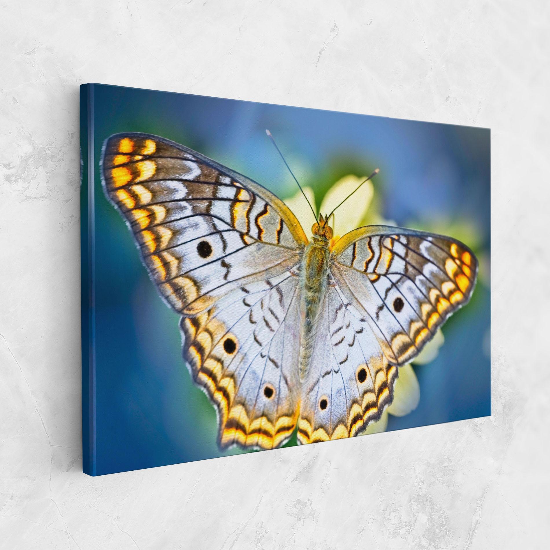 Leinwandbild Yellow Grey Butterfly mockup 1