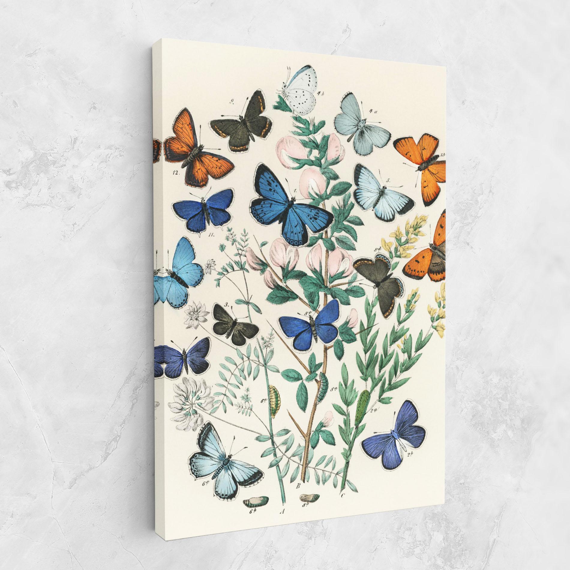 Leinwandbild Blue Orange Butterflies mockup 1