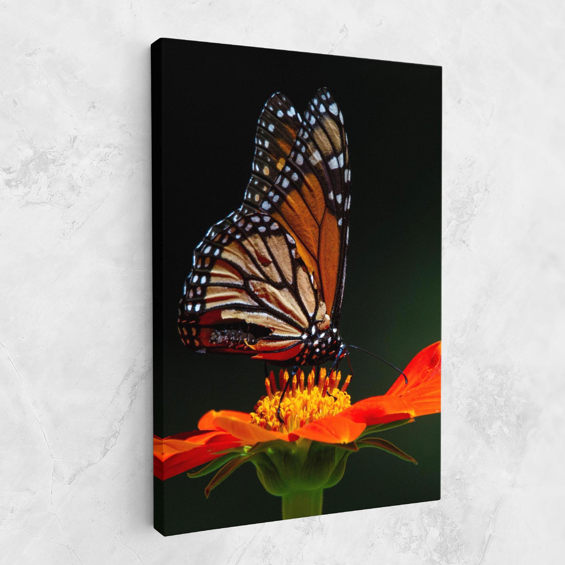 Leinwandbild Dark Orange Butterfy mockup 1