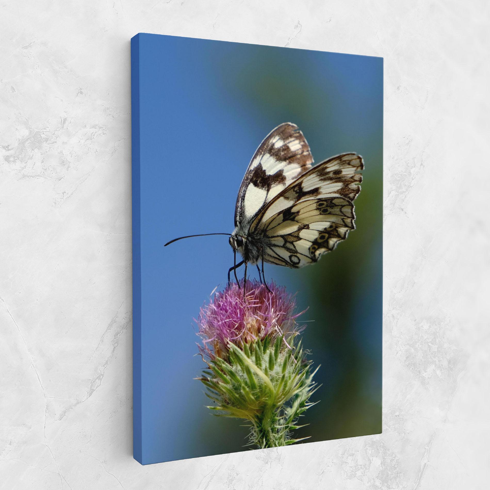 Leinwandbild Grey White Butterfly mockup 1