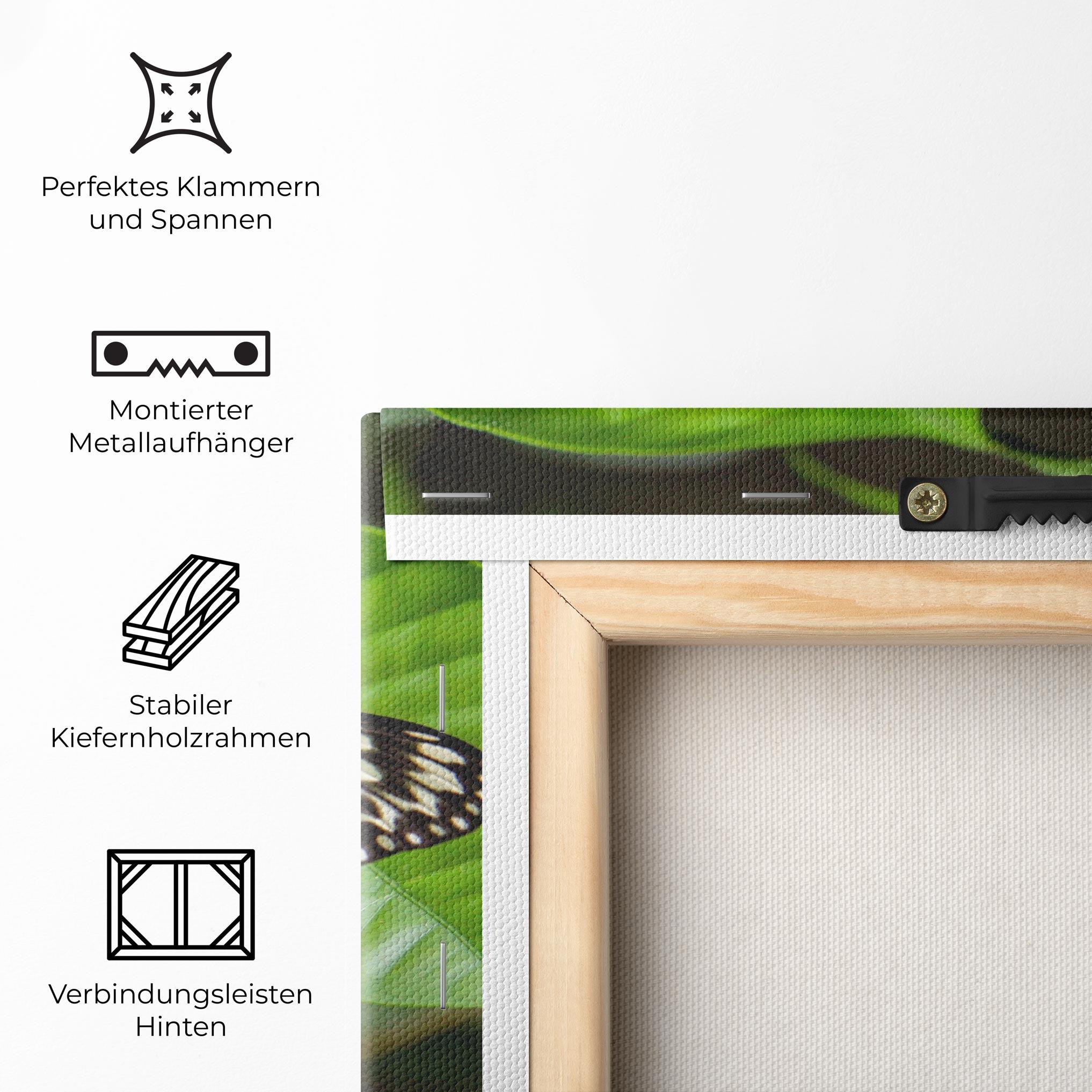 Leinwandbild Beautiful White Butterfly mockup 5