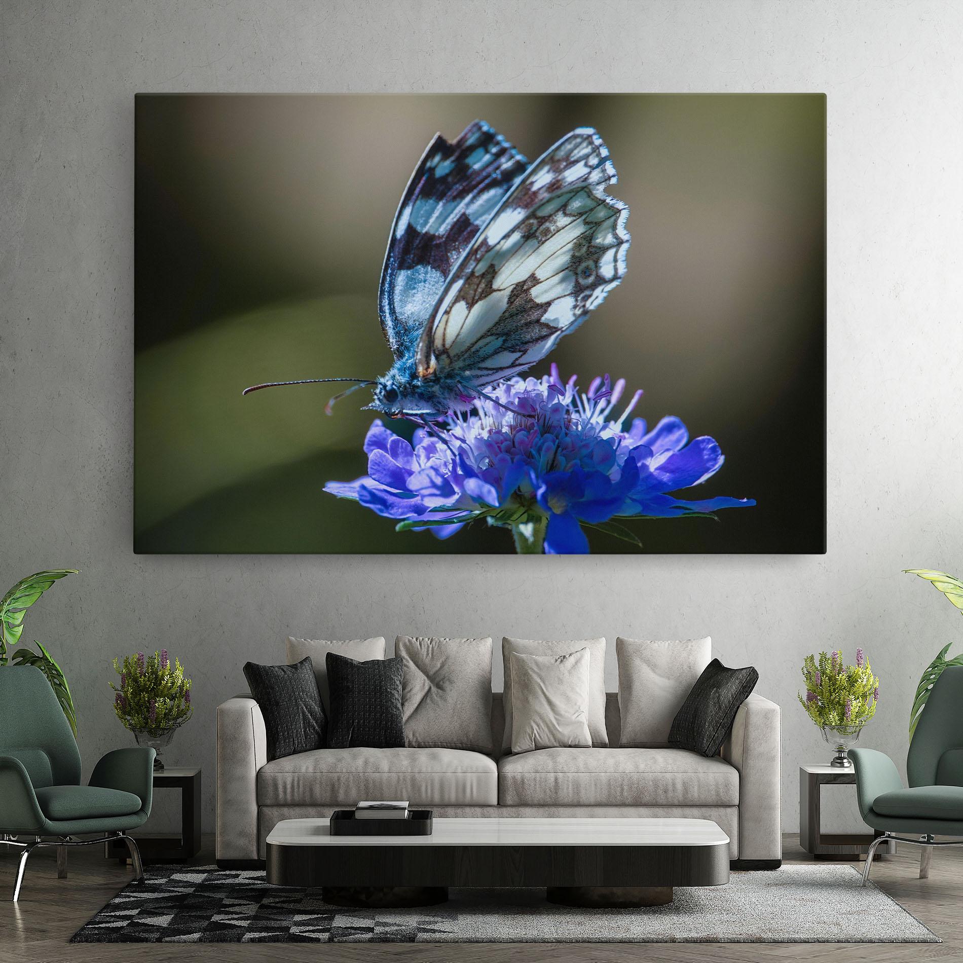 Leinwandbild Blue Butterfly In Nature mockup 7