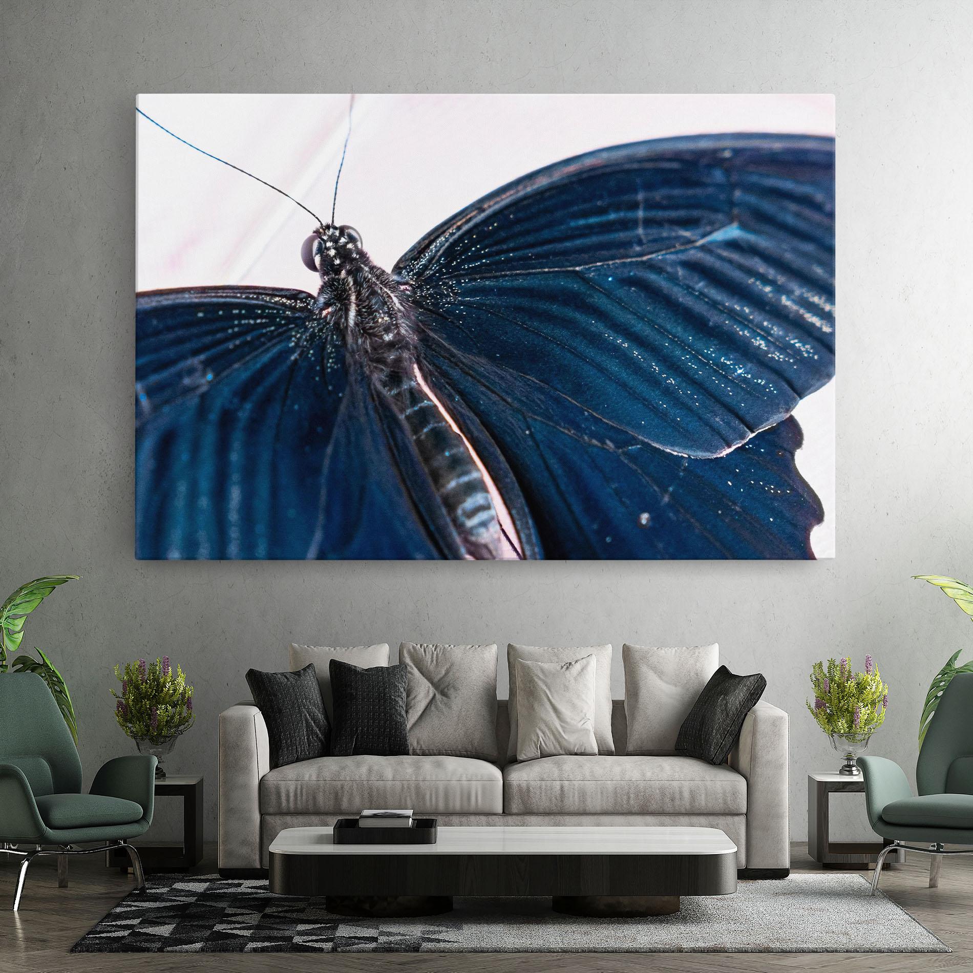 Leinwandbild Blue Butterfly mockup 7