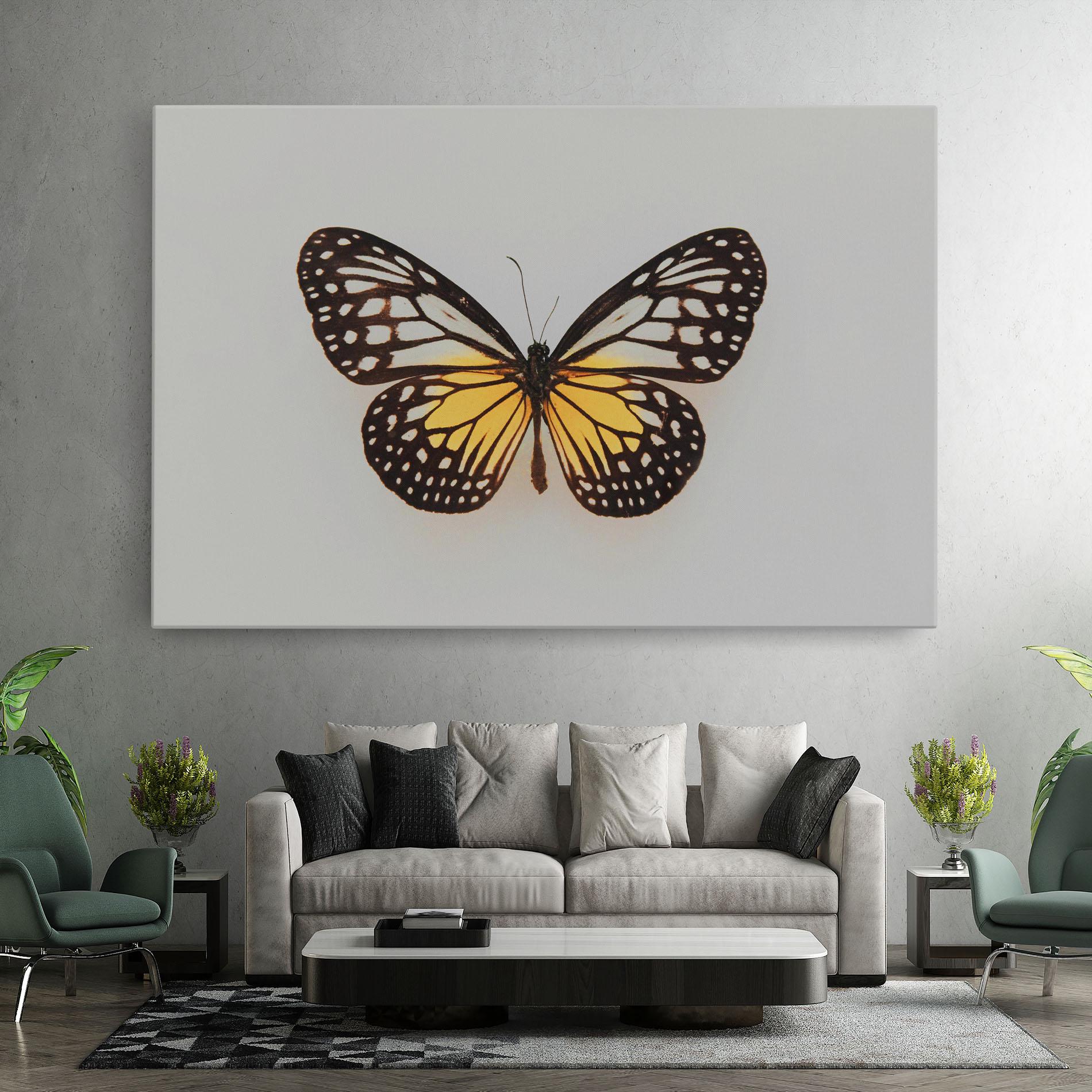 Leinwandbild Butterfly On Grey mockup 7