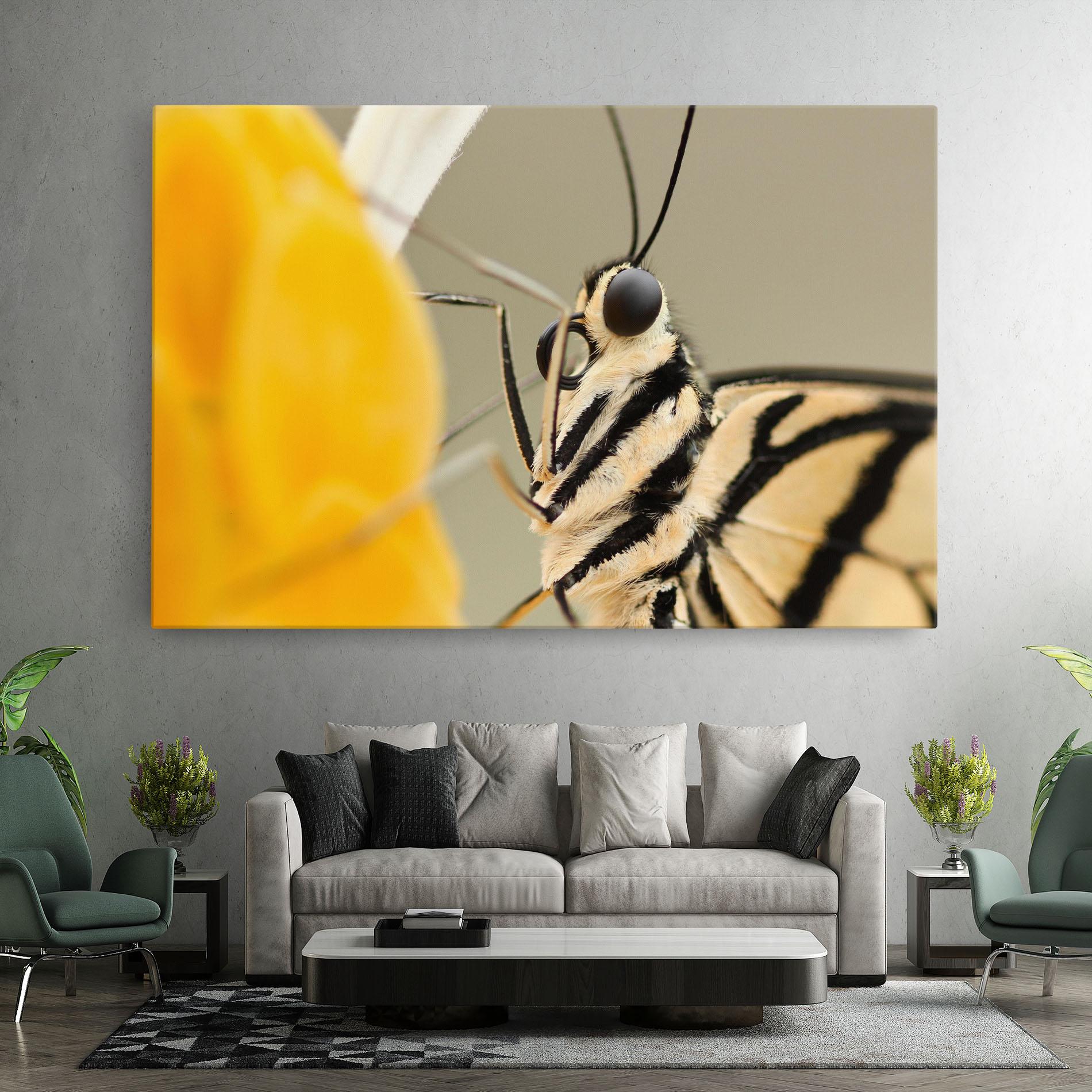 Leinwandbild Close Up Cream Butterfly mockup 7