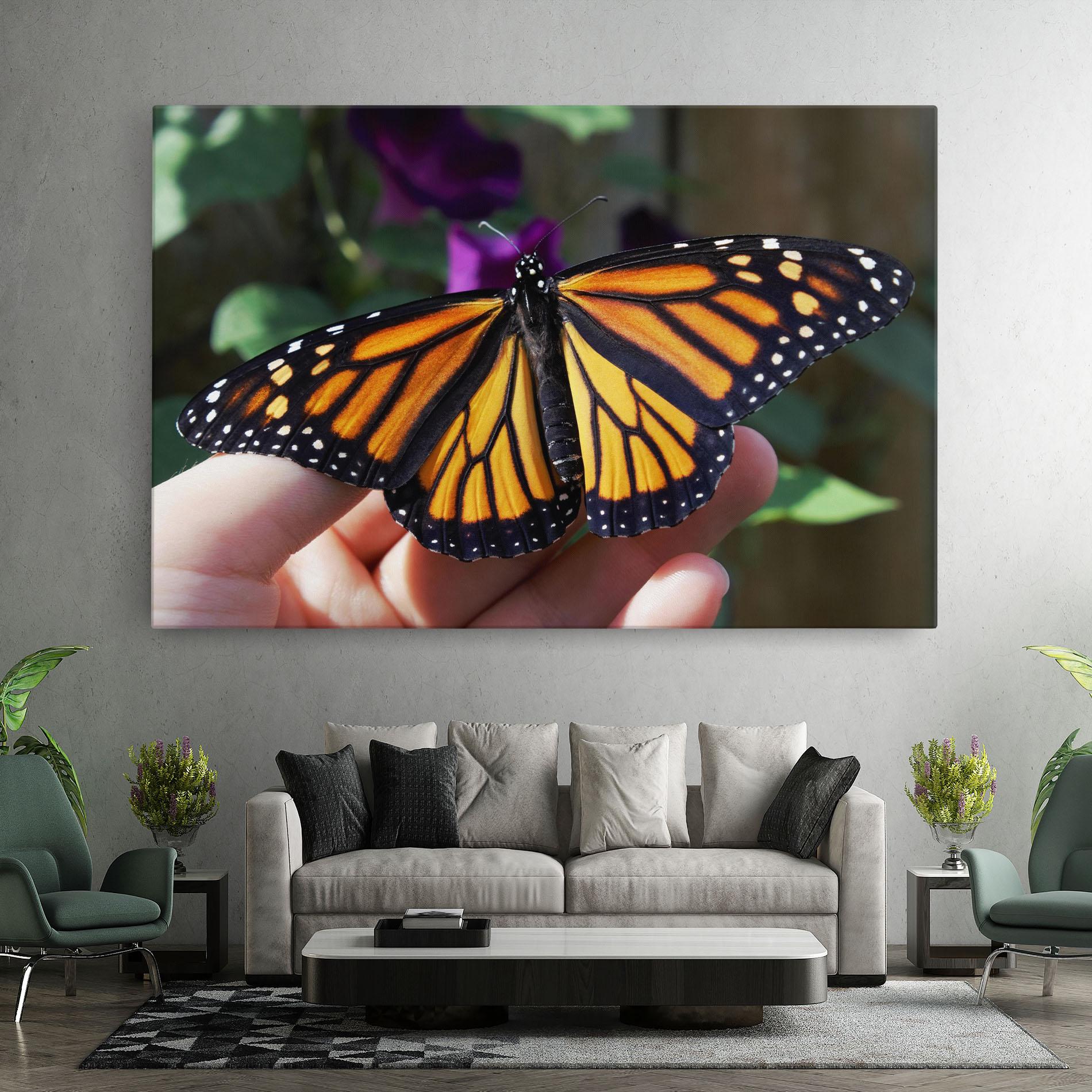 Leinwandbild Open Orange Butterfly mockup 7