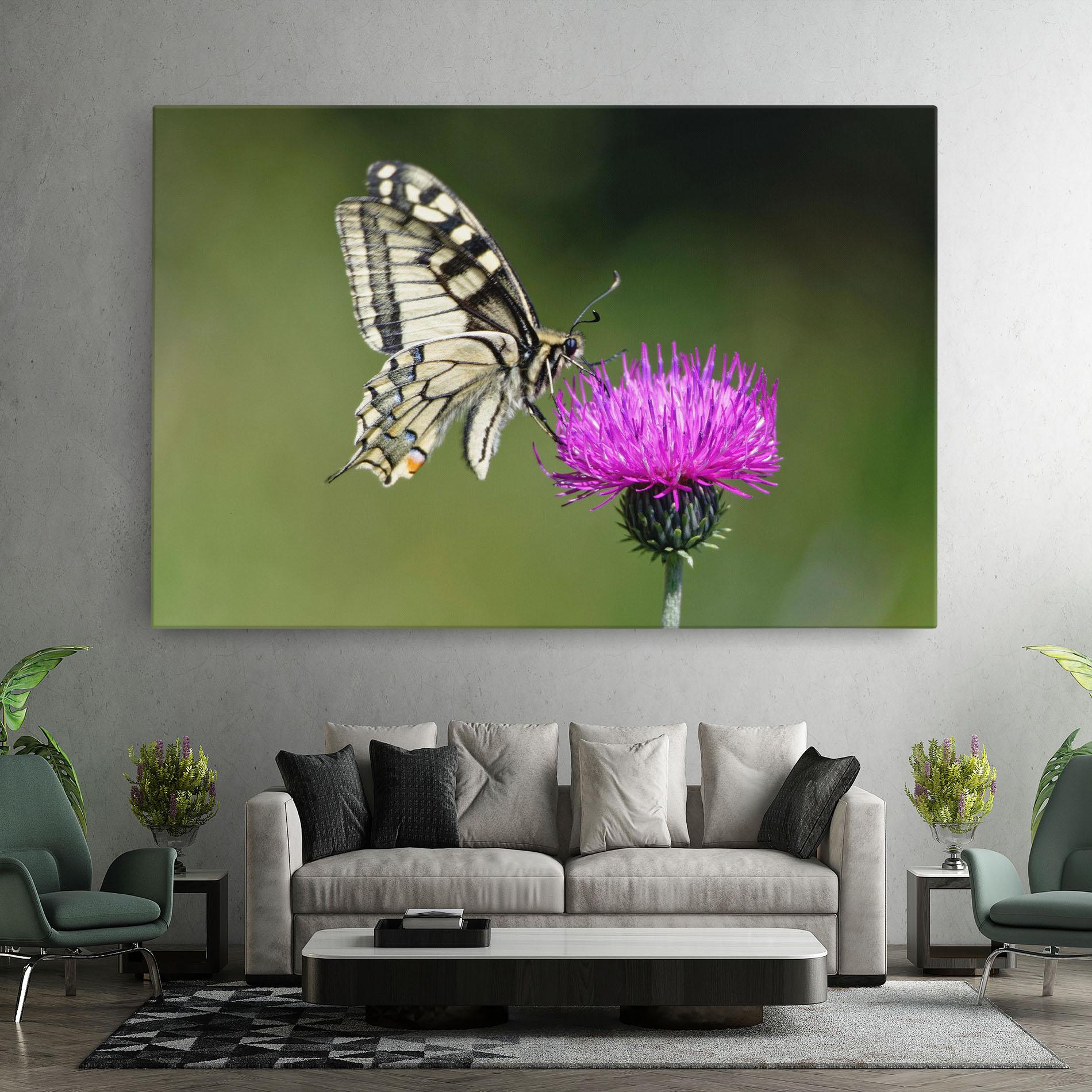 Leinwandbild White Butterfly Pollen mockup 7