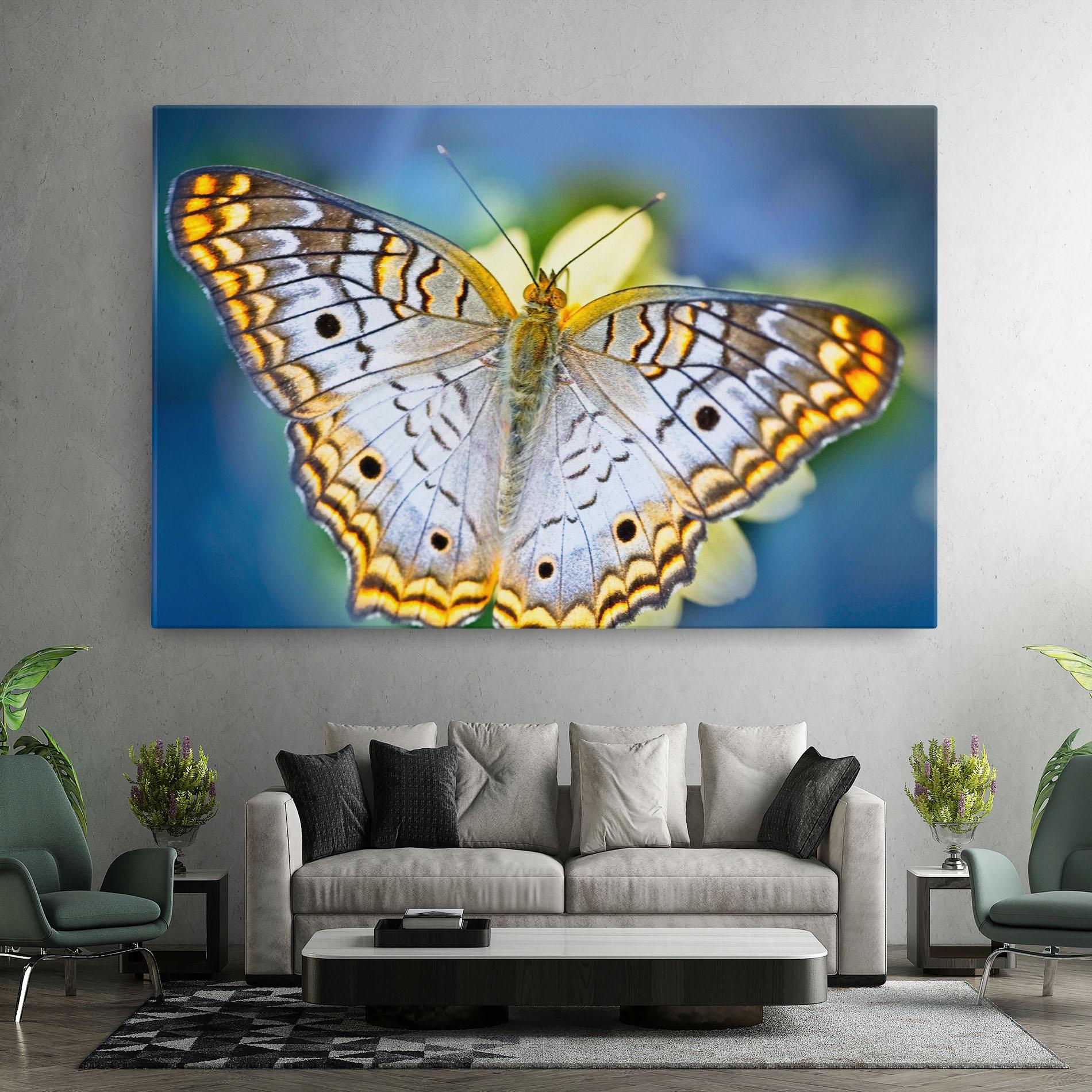 Leinwandbild Yellow Grey Butterfly mockup 7