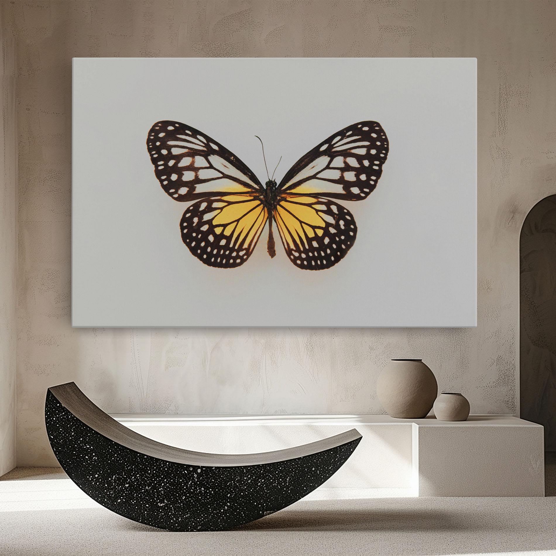 Leinwandbild Butterfly On Grey mockup 8