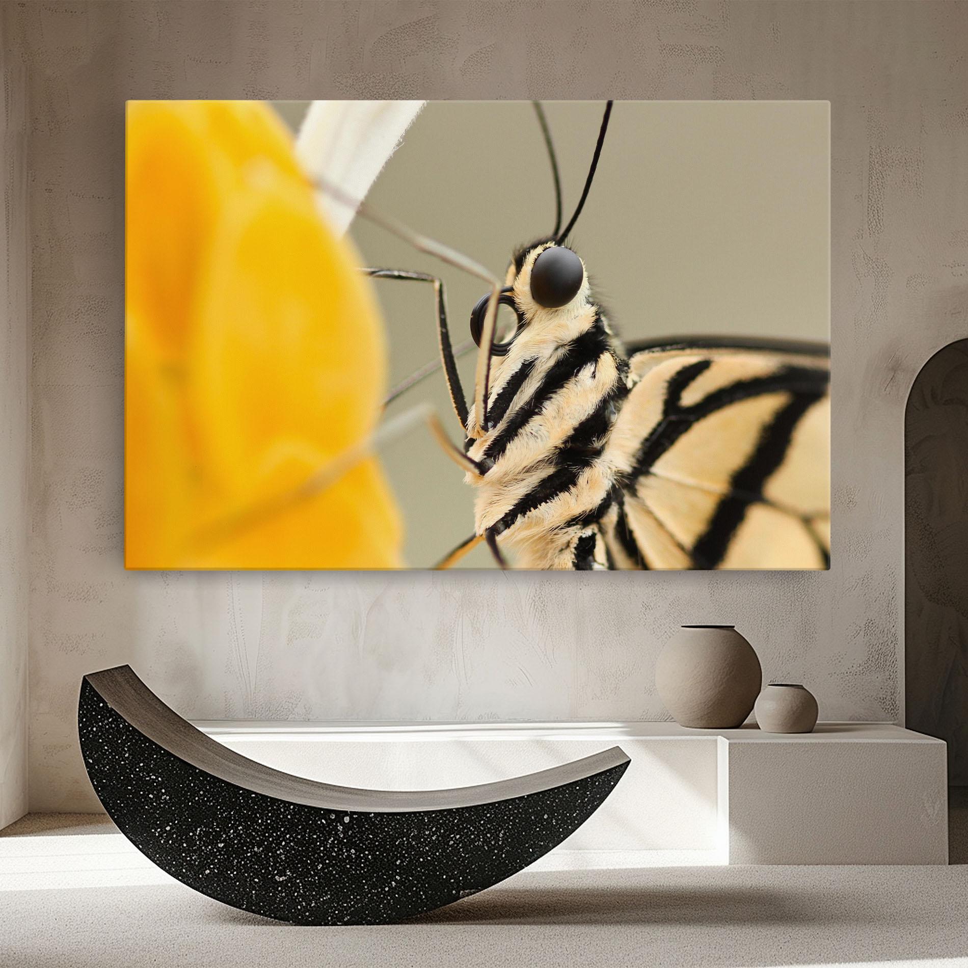 Leinwandbild Close Up Cream Butterfly mockup 8
