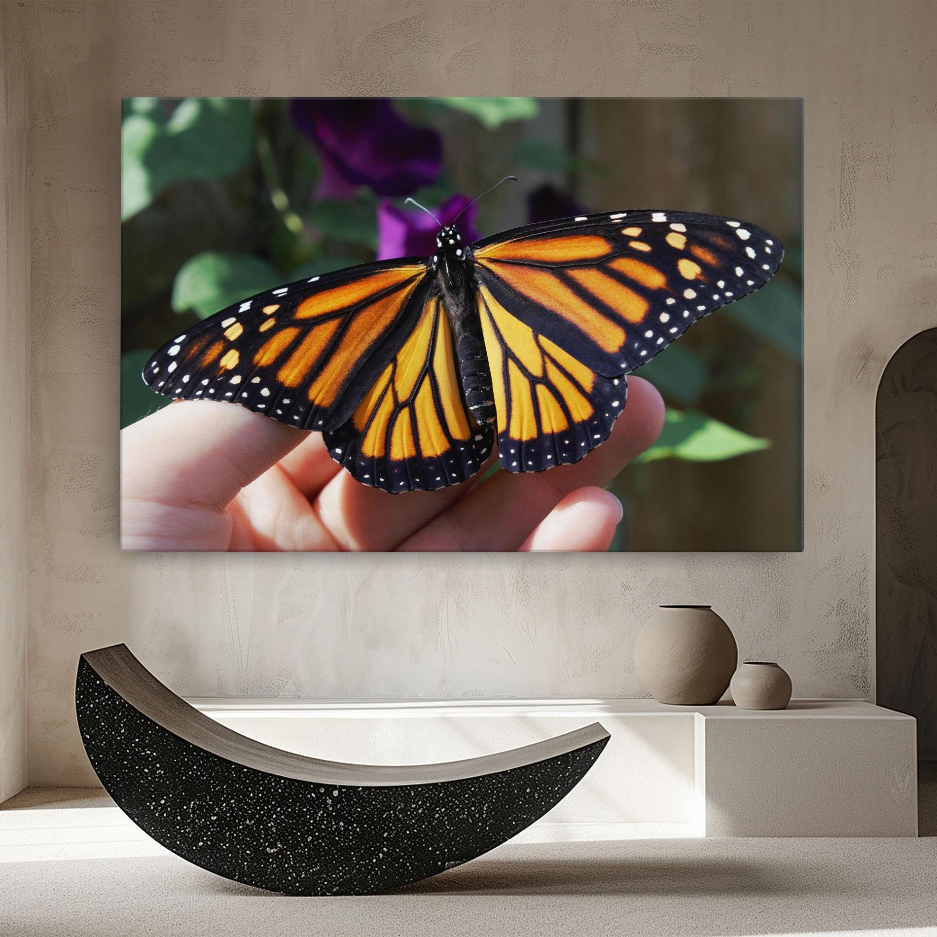 Leinwandbild Open Orange Butterfly mockup 8