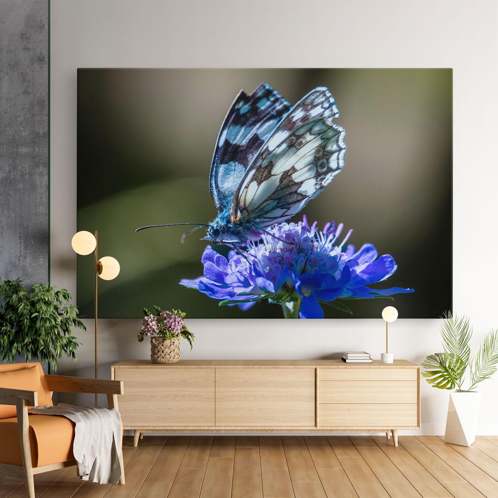 Leinwandbild Blue Butterfly In Nature mockup 9
