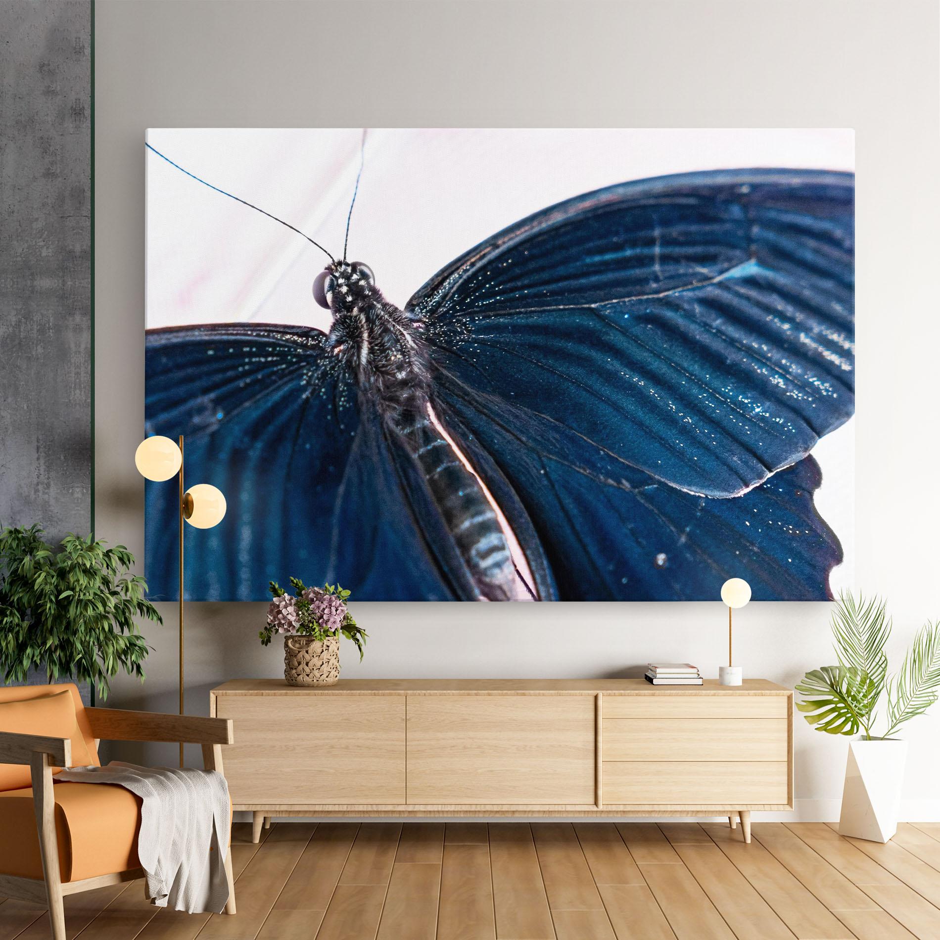 Leinwandbild Blue Butterfly mockup 9