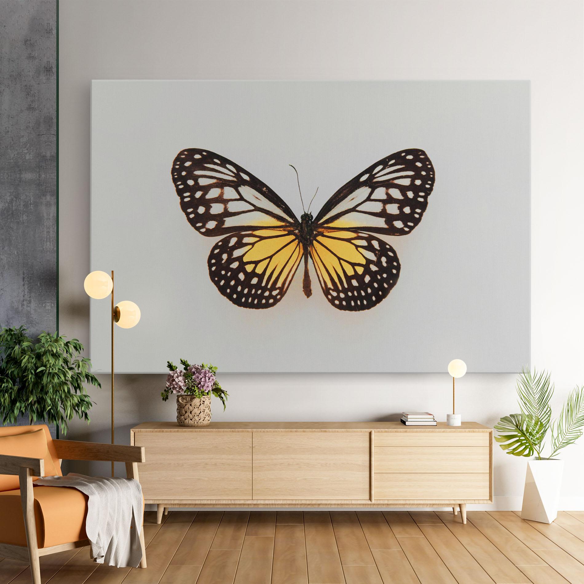 Leinwandbild Butterfly On Grey mockup 9