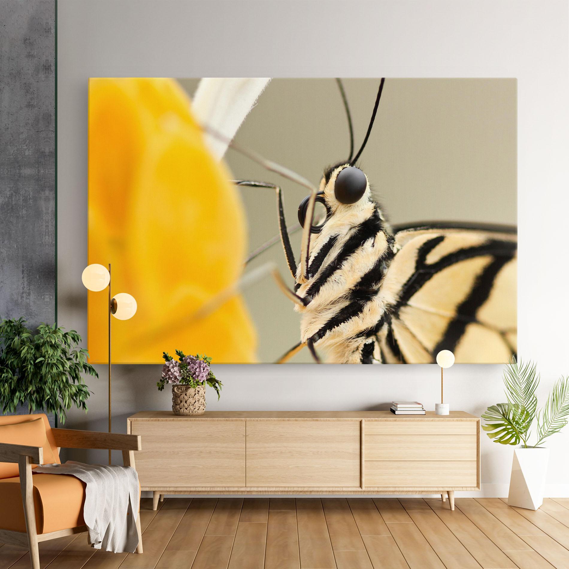 Leinwandbild Close Up Cream Butterfly mockup 9