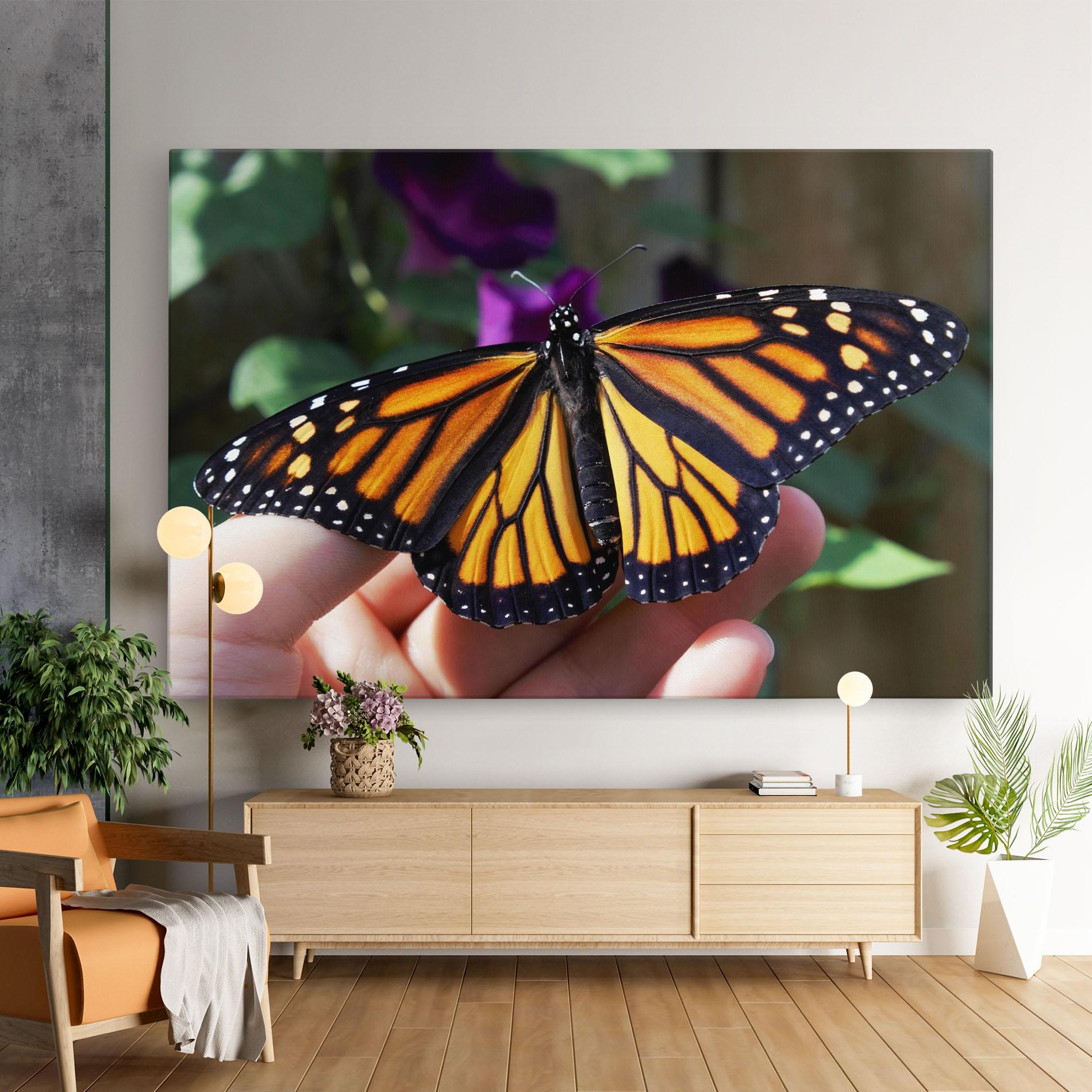 Leinwandbild Open Orange Butterfly mockup 9