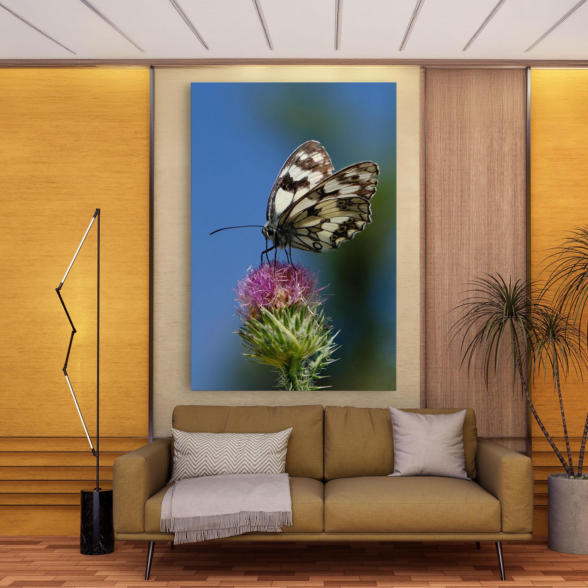 Leinwandbild Grey White Butterfly mockup 9