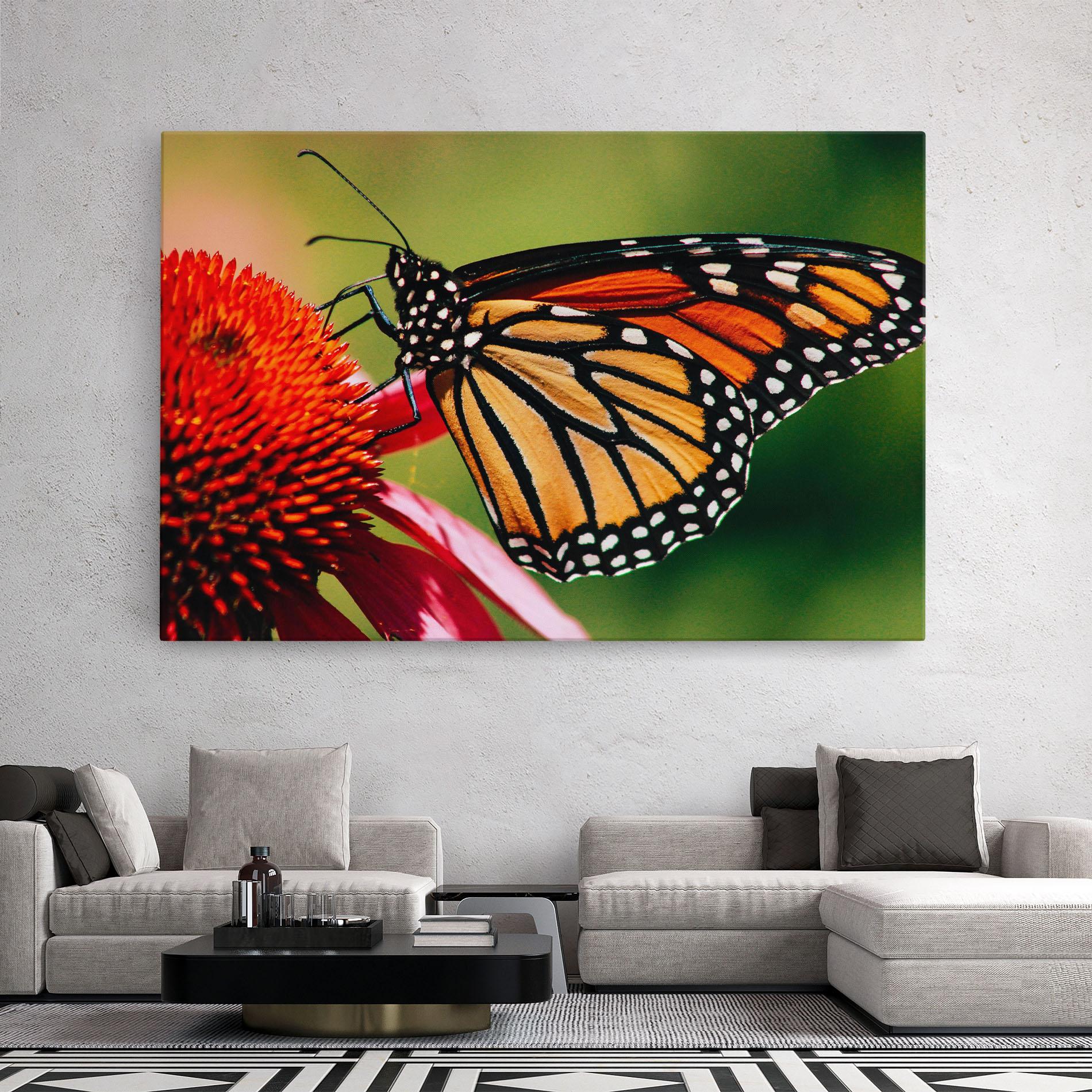 Leinwandbild Big Orange Butterfly mockup 2