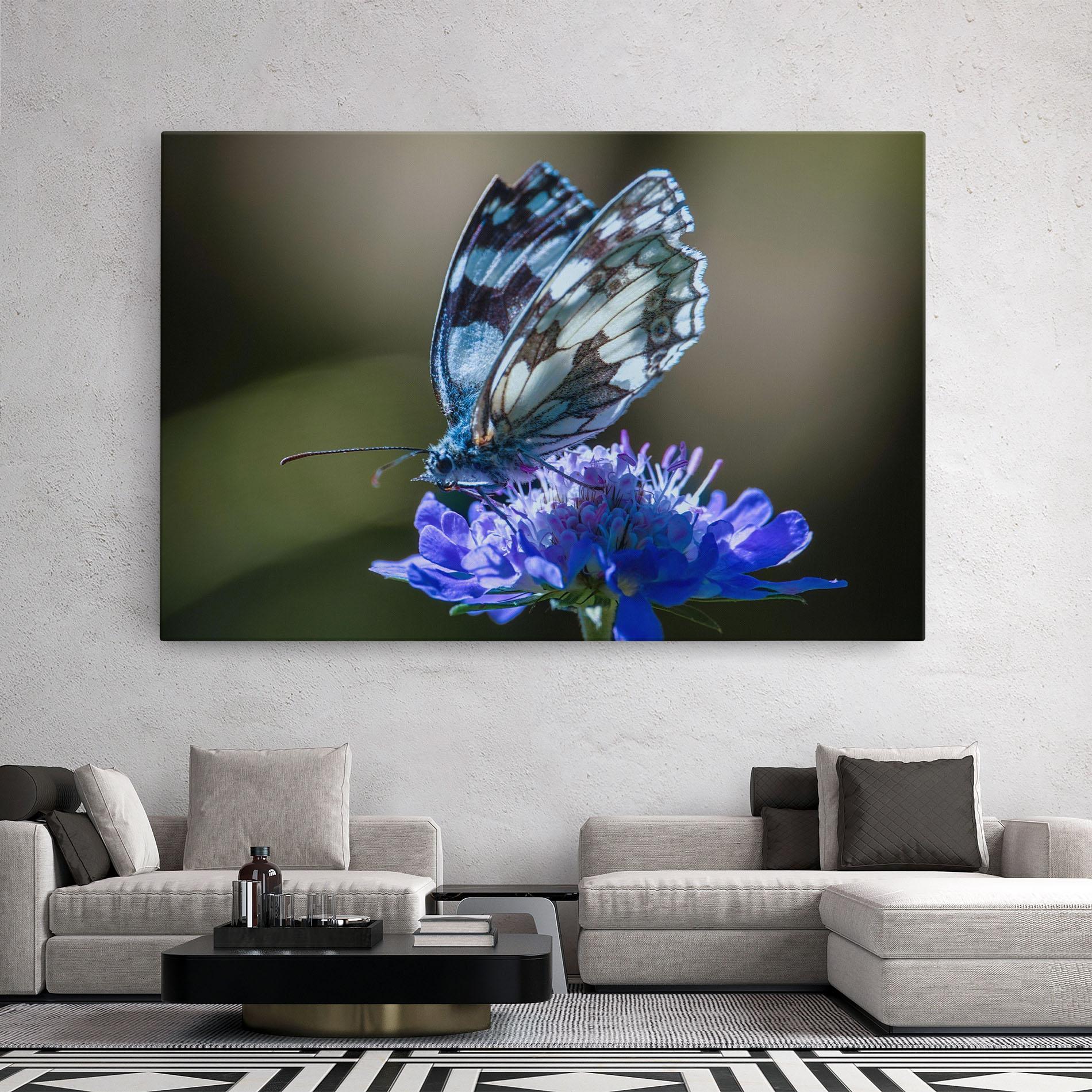 Leinwandbild Blue Butterfly In Nature mockup 2