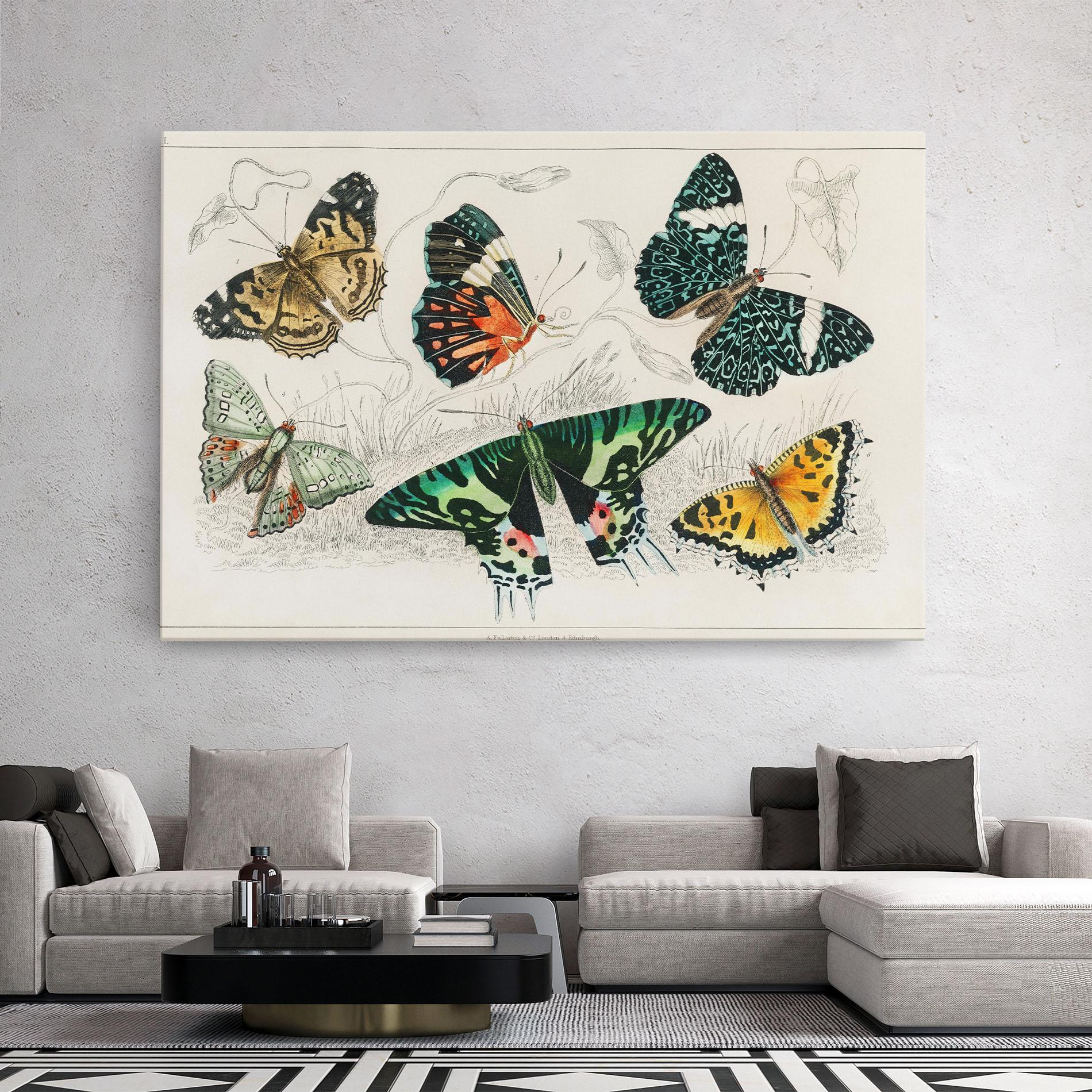 Leinwandbild Butterfly Art mockup 2