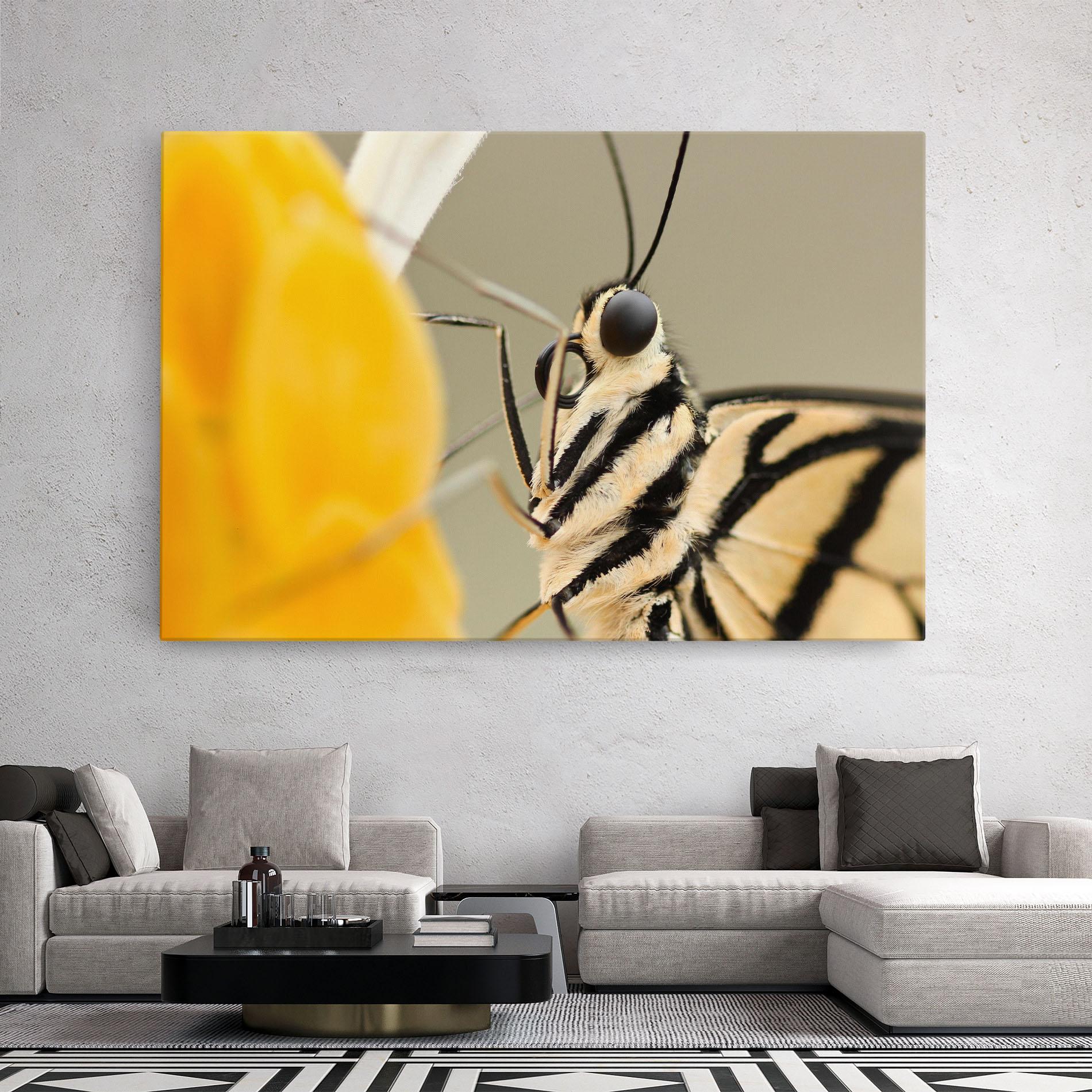 Leinwandbild Close Up Cream Butterfly mockup 2