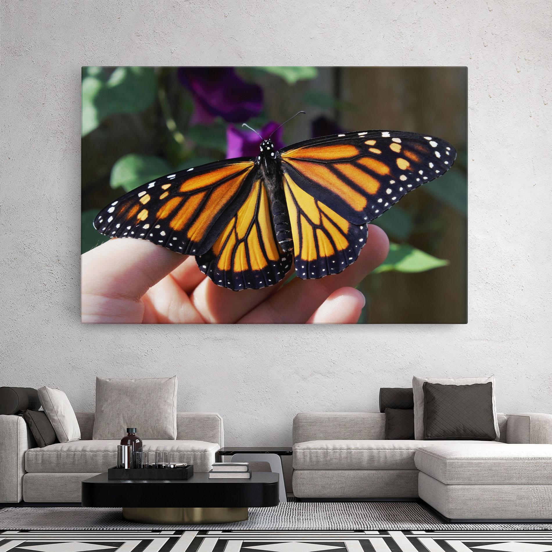 Leinwandbild Open Orange Butterfly mockup 2