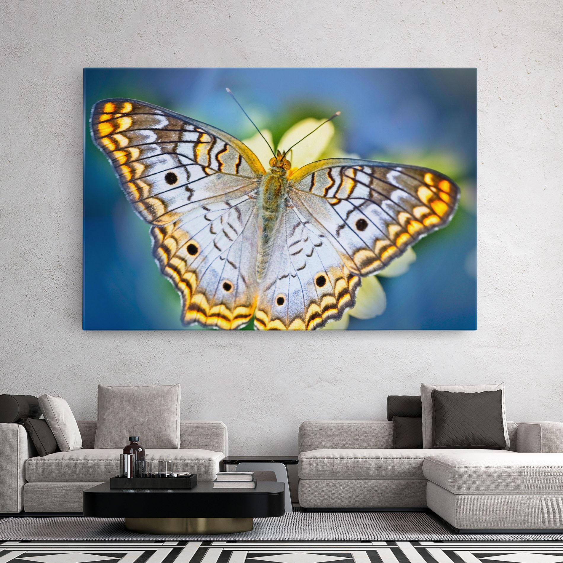 Leinwandbild Yellow Grey Butterfly mockup 2