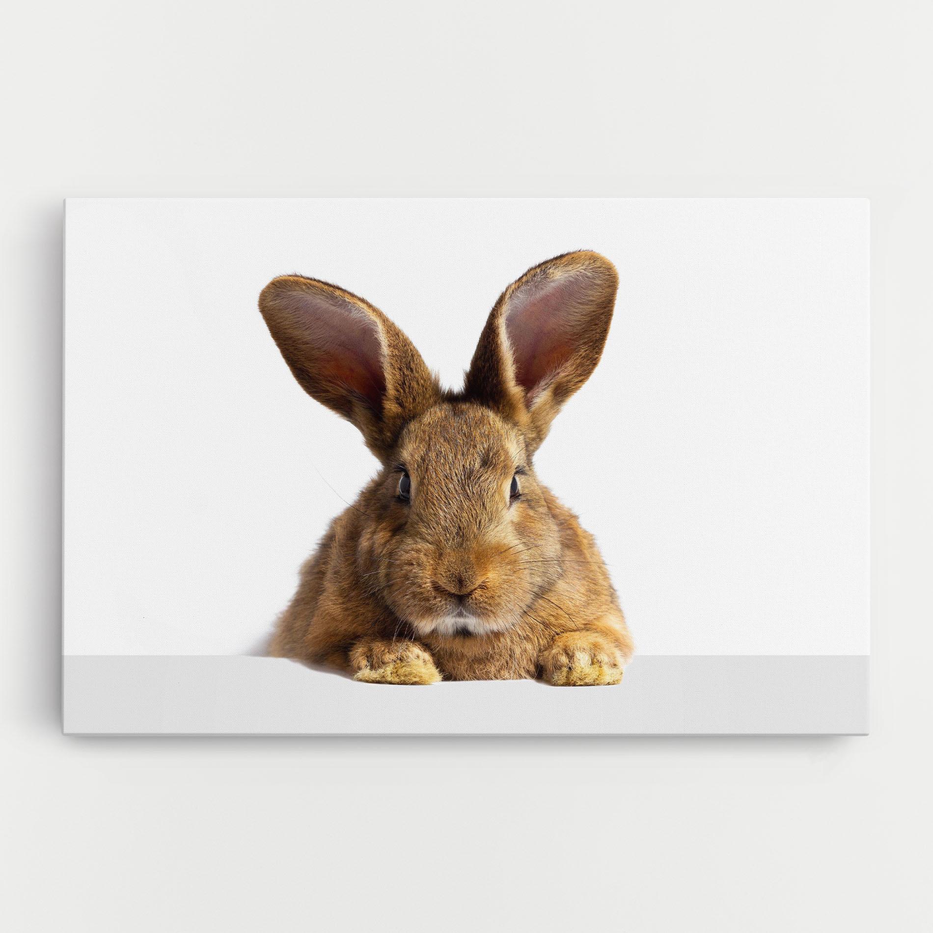 Leinwandbild Brown Cute Bunny mockup 0