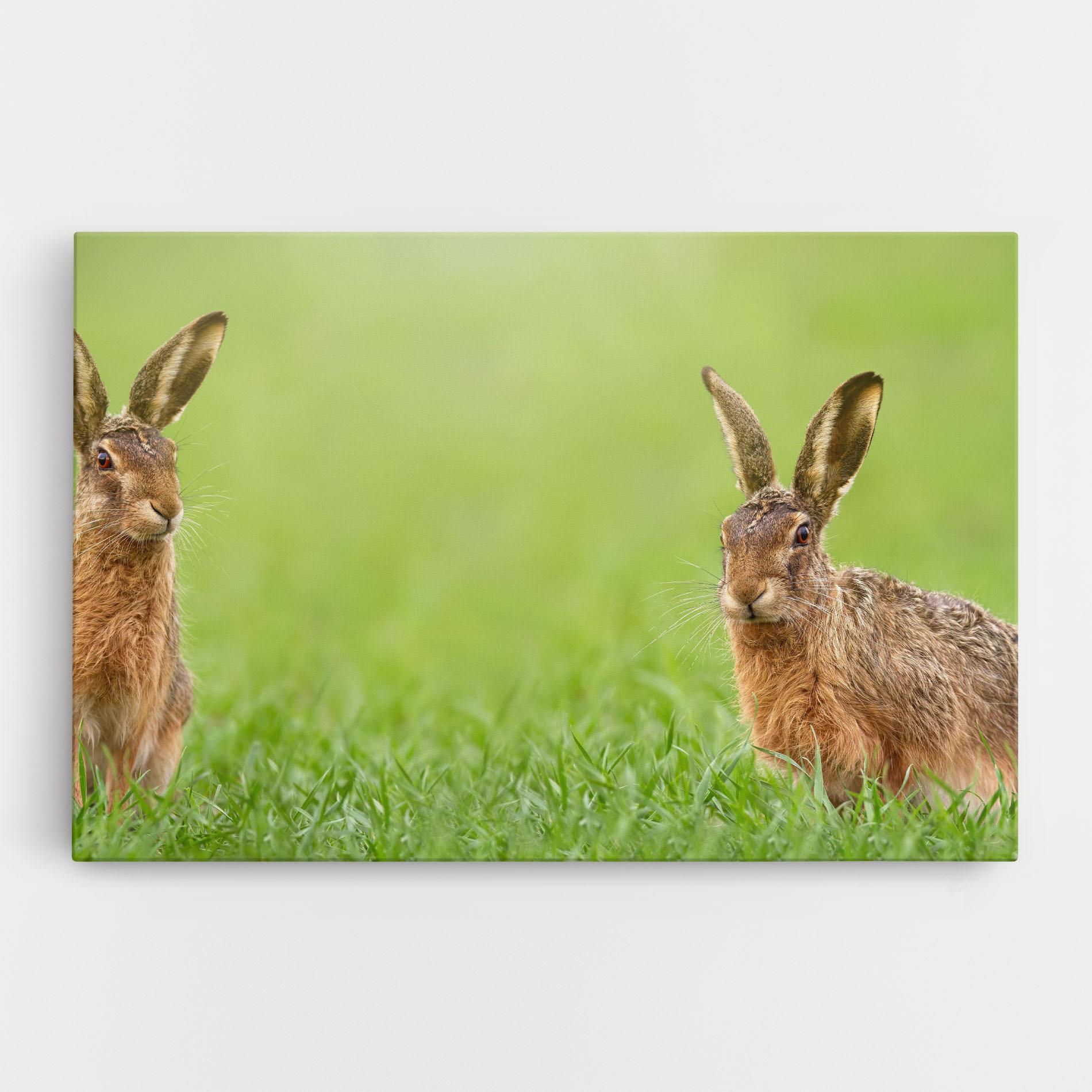 Leinwandbild Brown Hares mockup 0