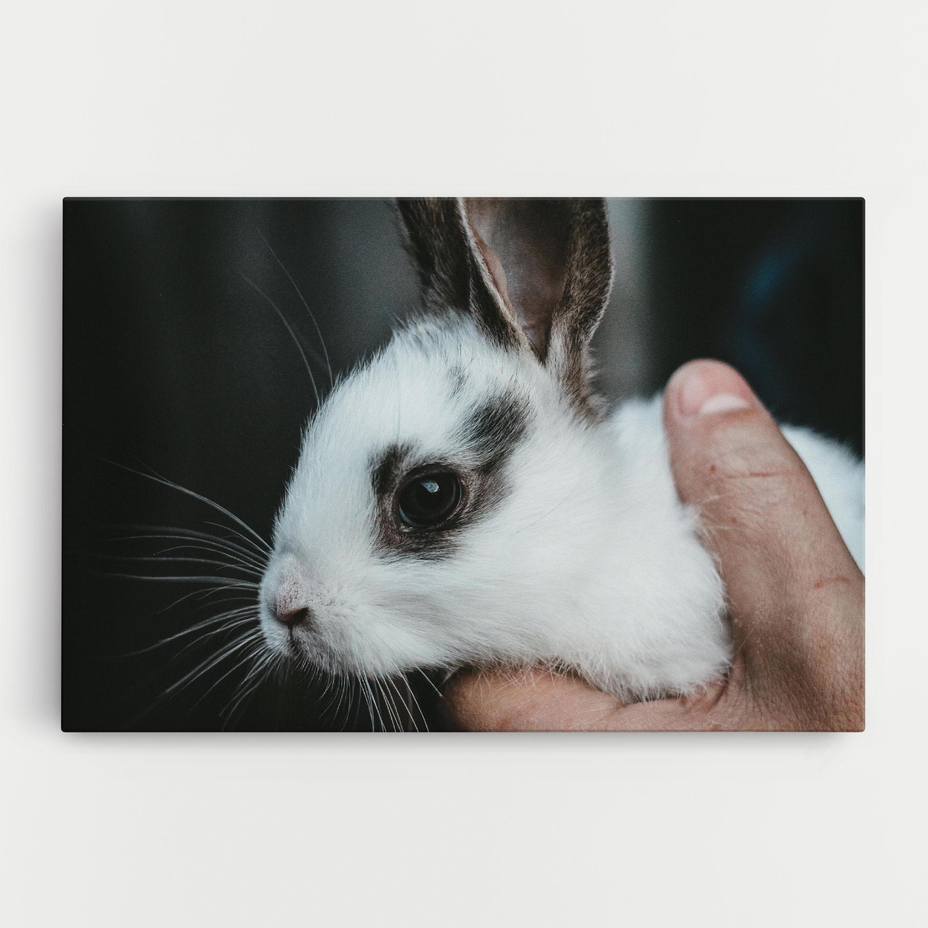 Leinwandbild Holding Cute Bunny mockup 0