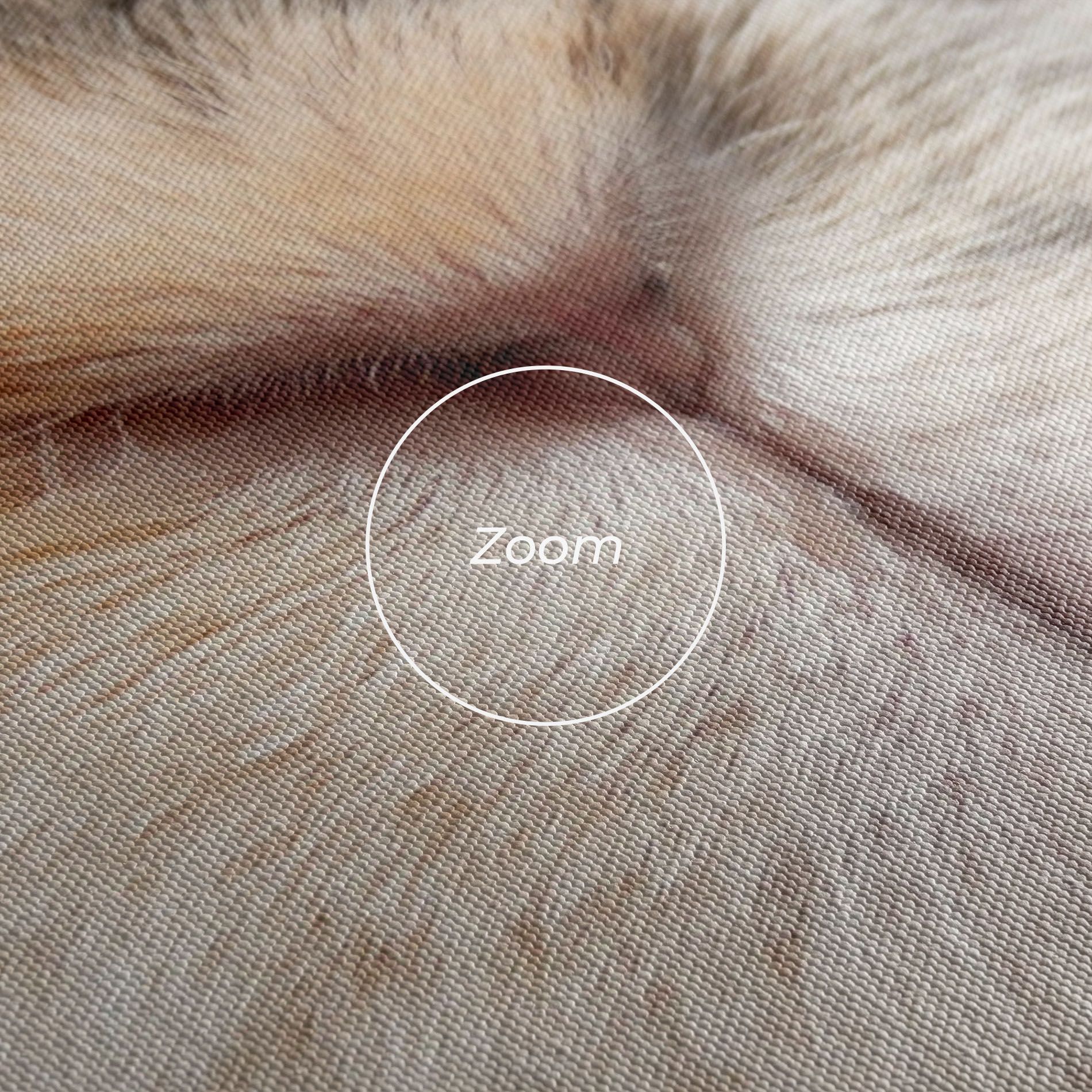 Close Up Bunny mockup 3