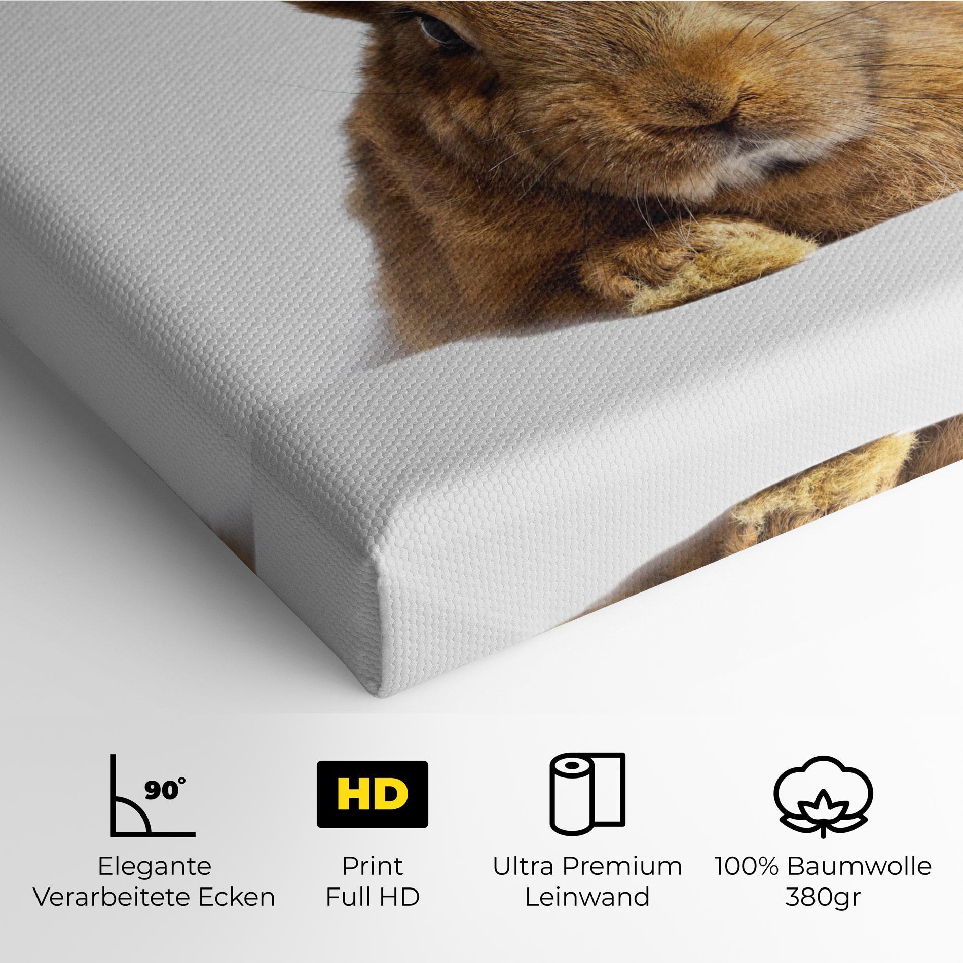 Leinwandbild Brown Cute Bunny mockup 4