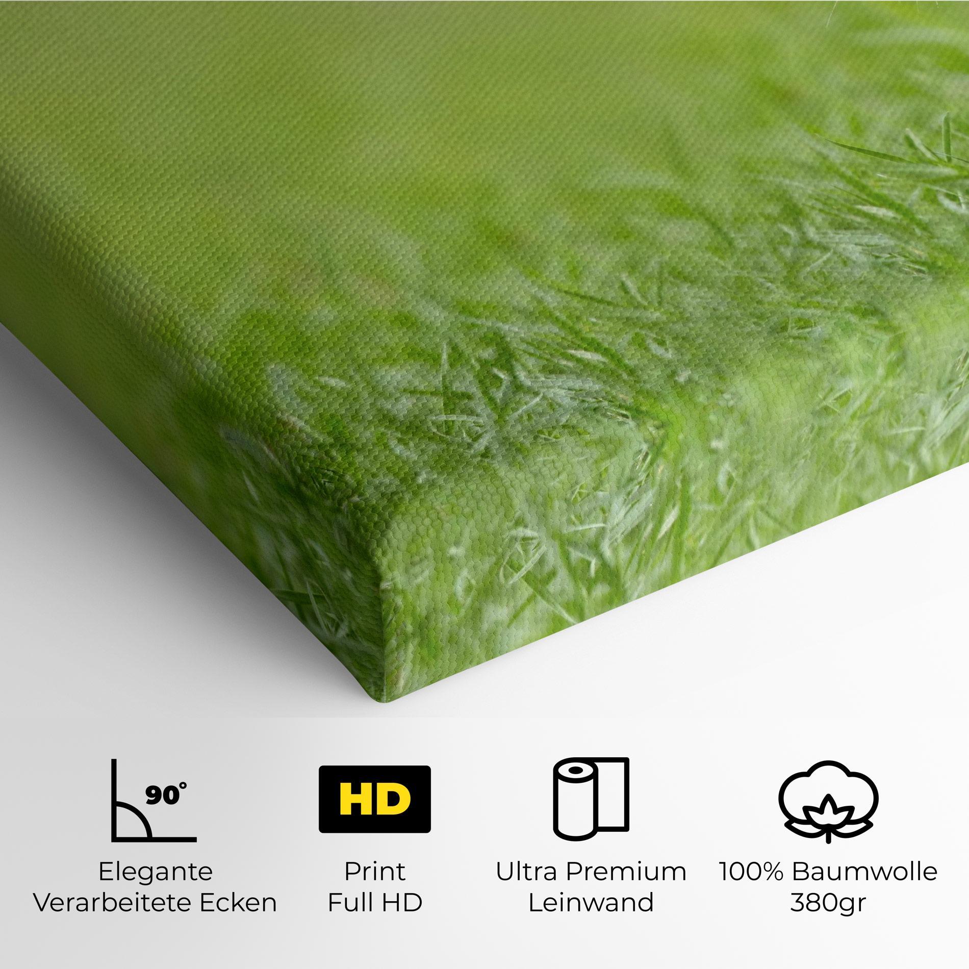 Leinwandbild Brown Hares mockup 4