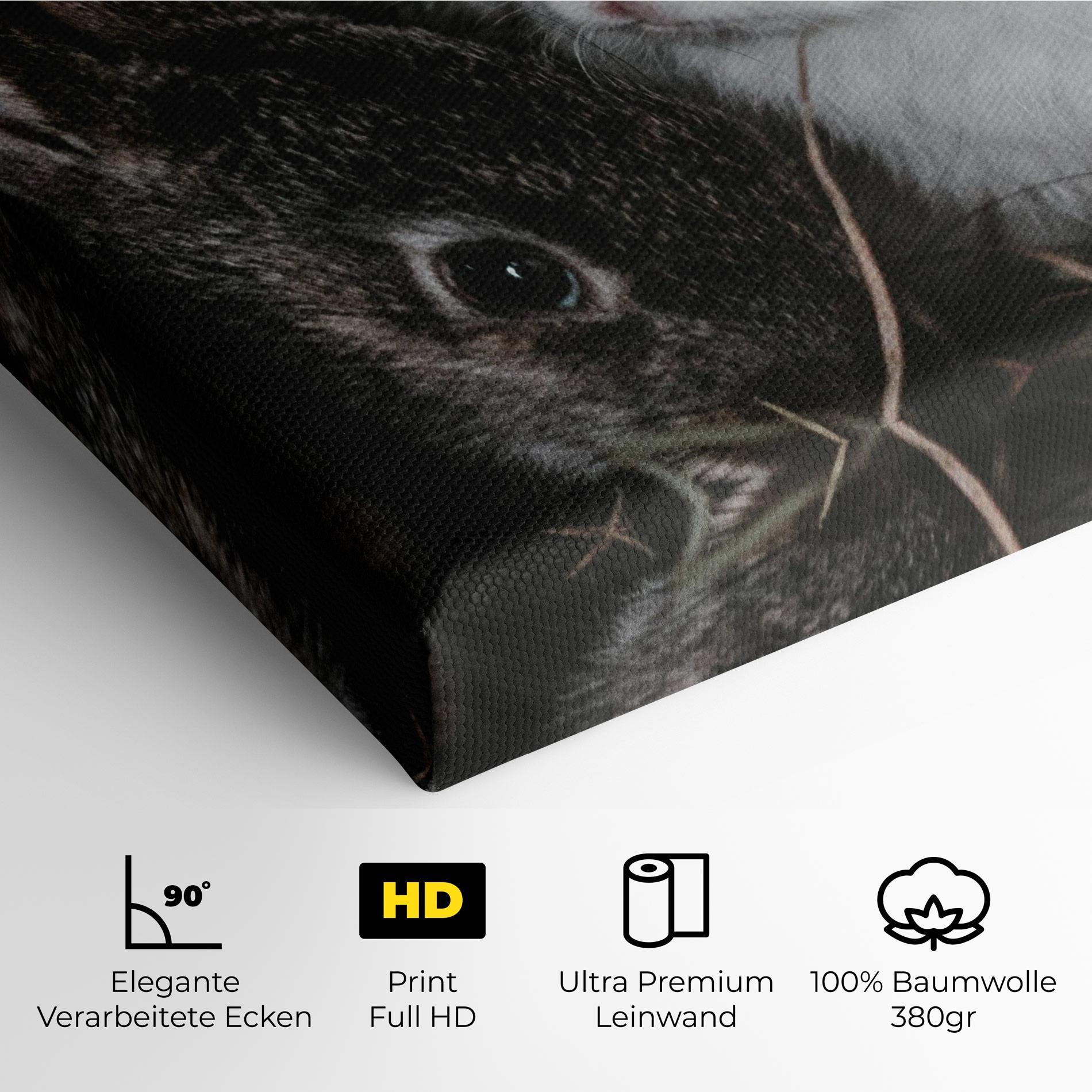 Leinwandbild Cute Small Rabbit mockup 4