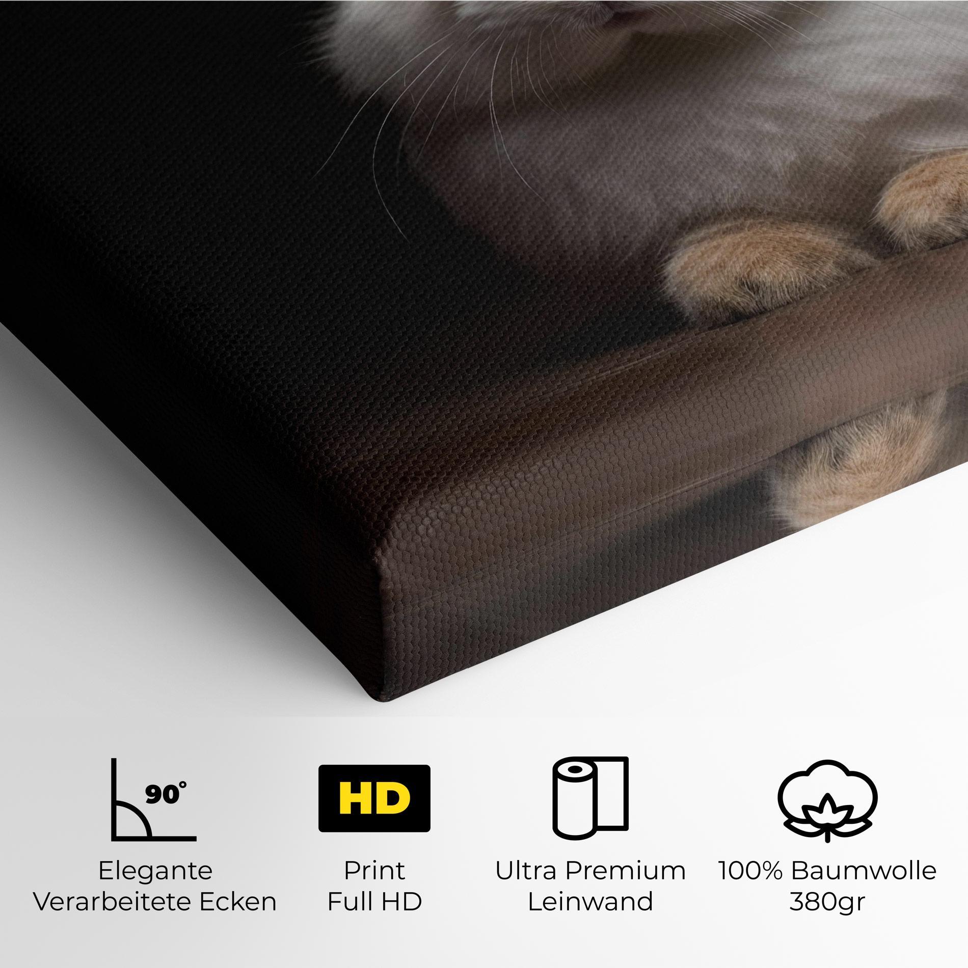 Leinwandbild Eyeglasses Bunny mockup 4