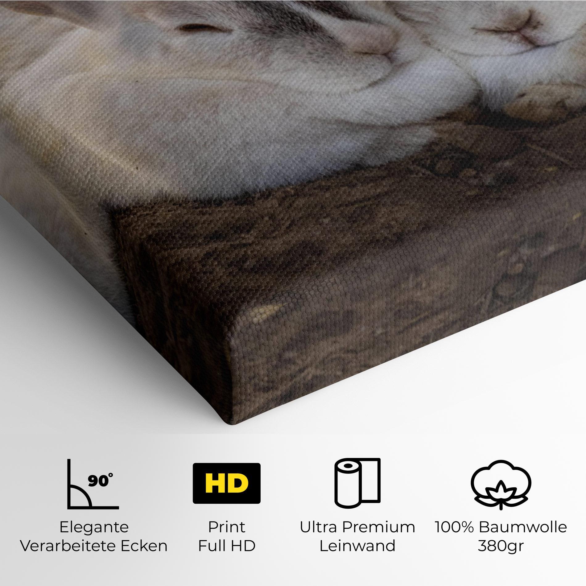 Leinwandbild Light Grey Bunny Sleeping mockup 4