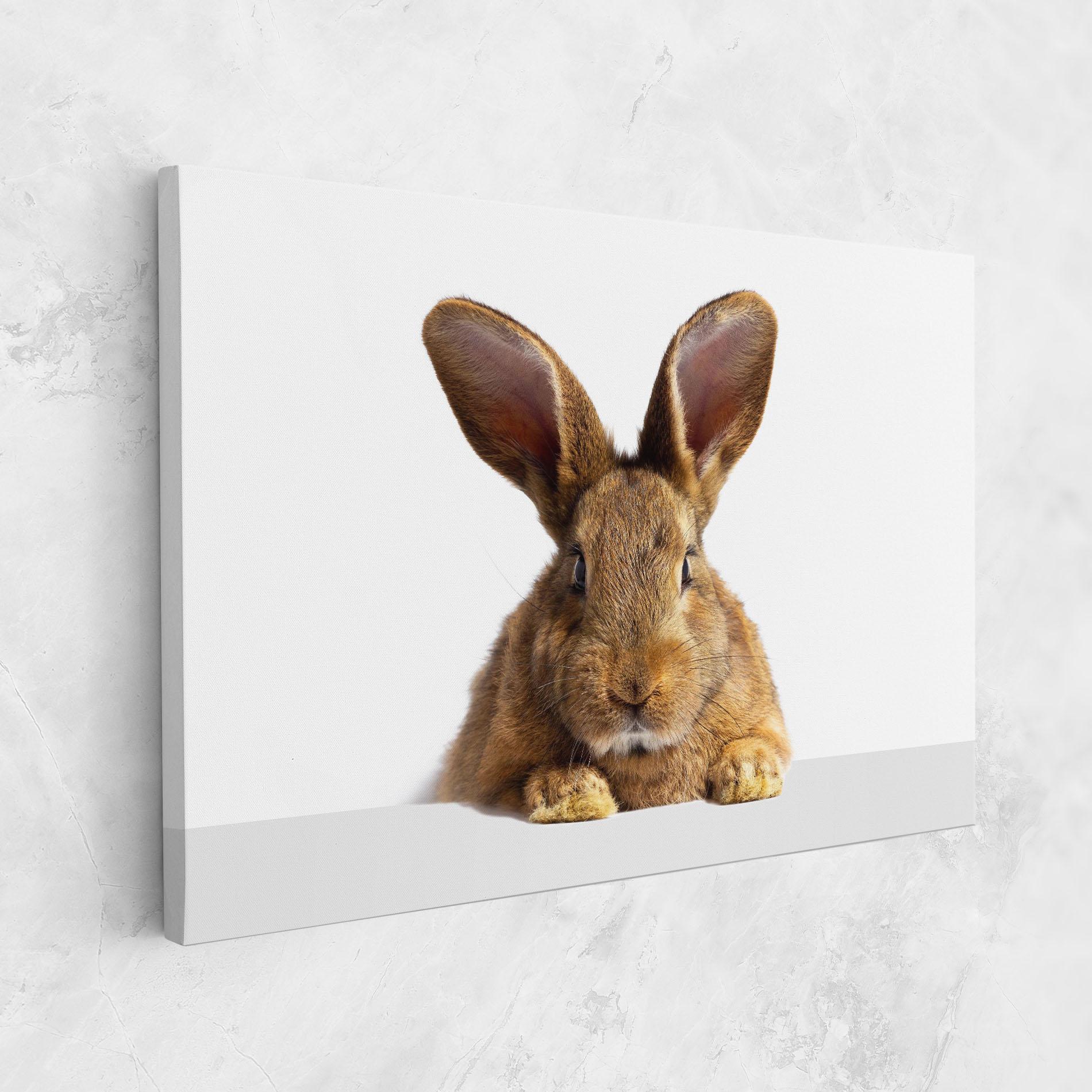Leinwandbild Brown Cute Bunny mockup 1