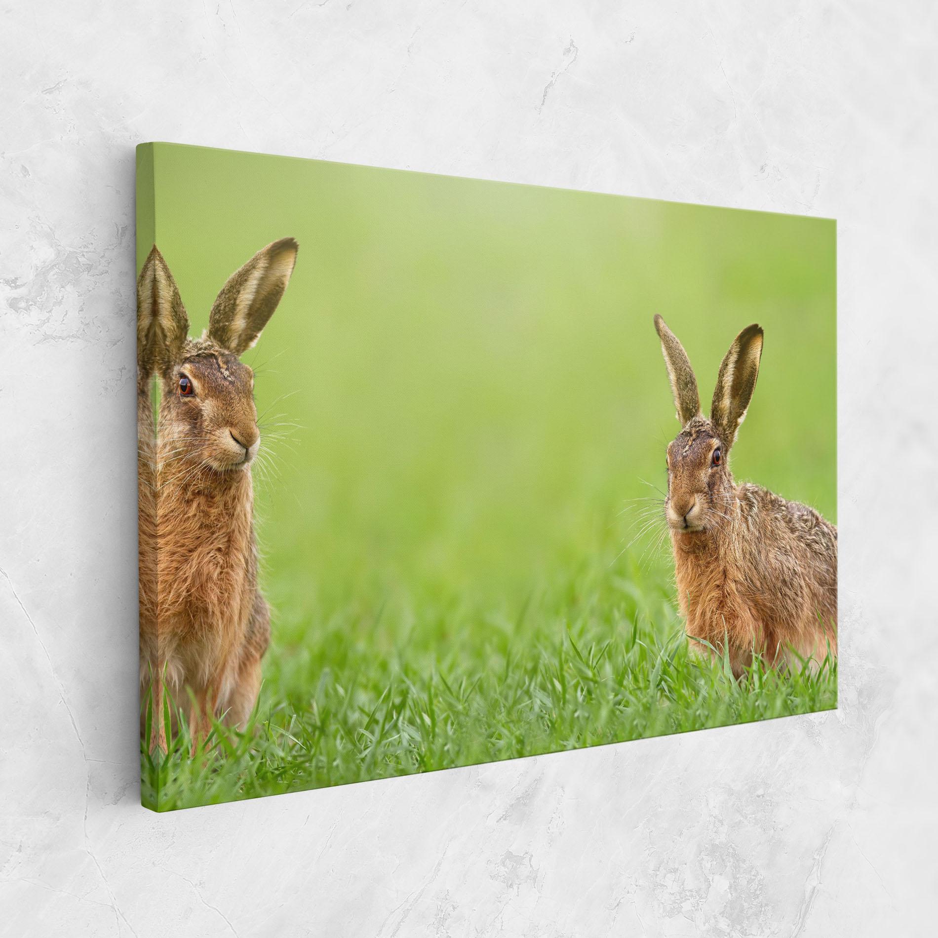 Leinwandbild Brown Hares mockup 1