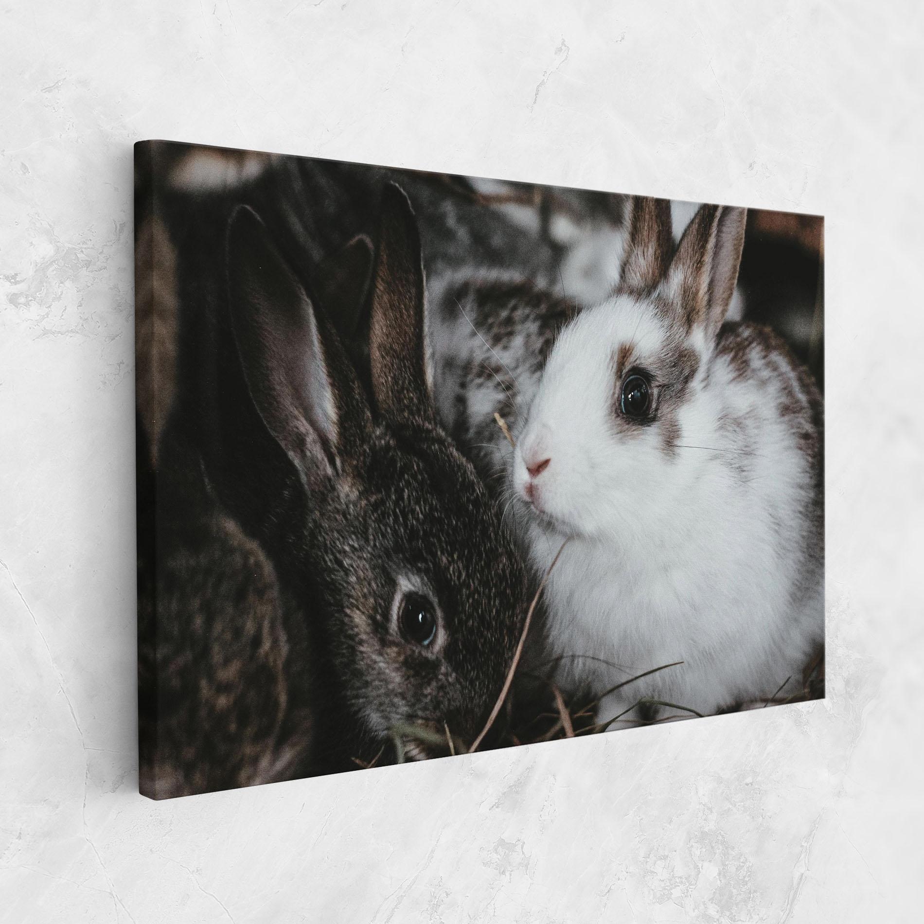 Leinwandbild Cute Small Rabbit mockup 1