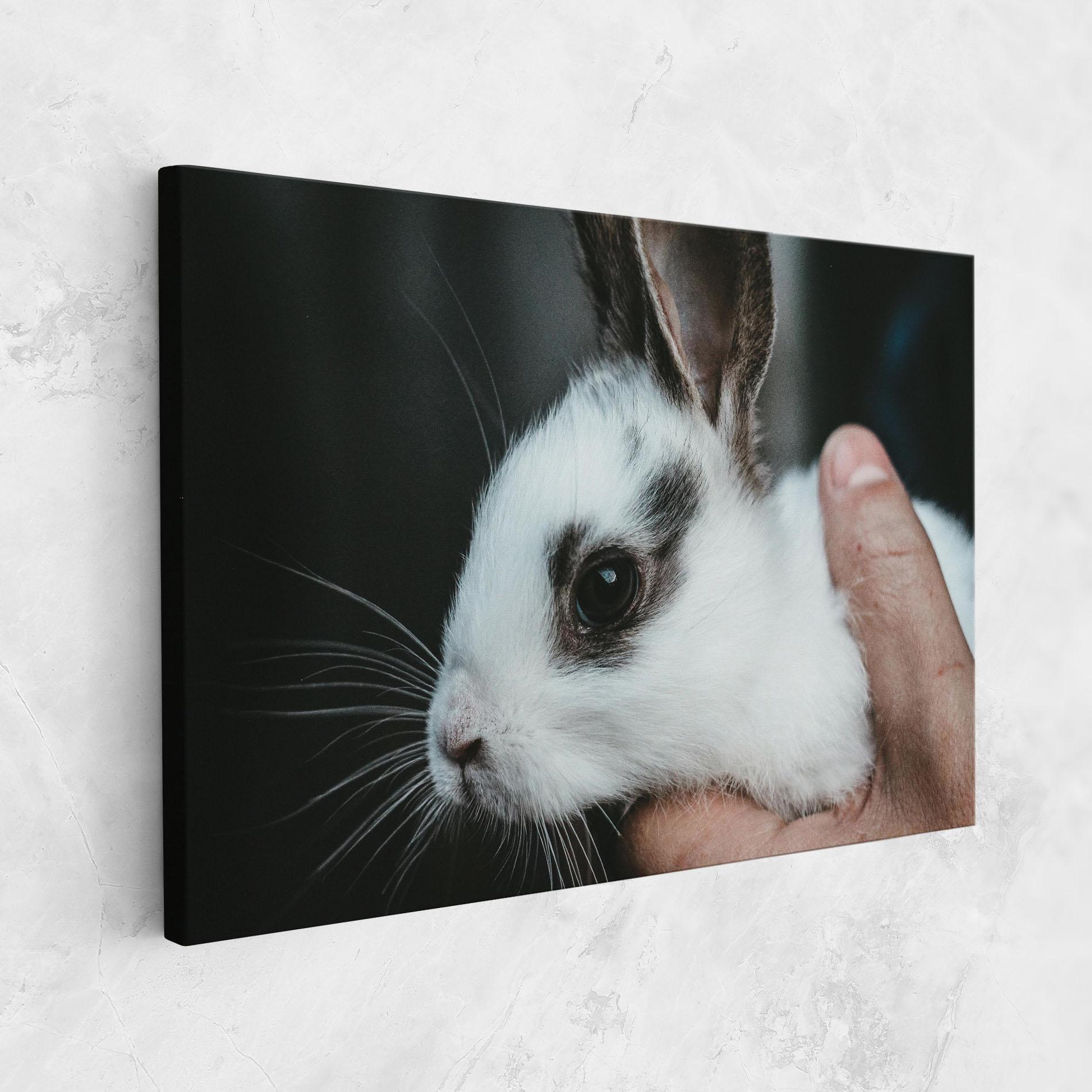 Leinwandbild Holding Cute Bunny mockup 1