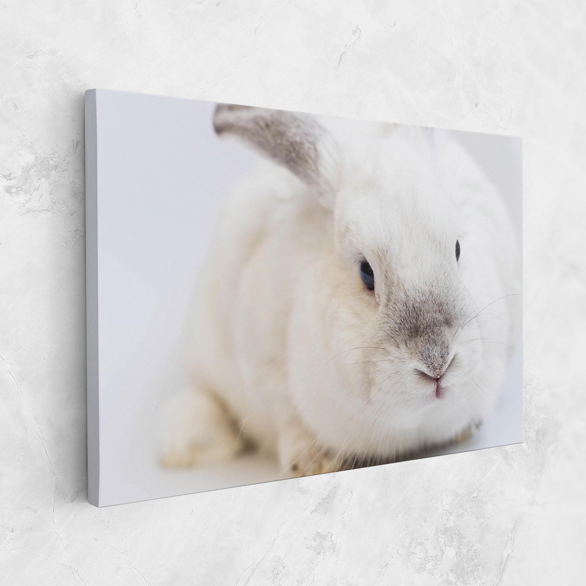 Leinwandbild Light Grey Bunny mockup 1