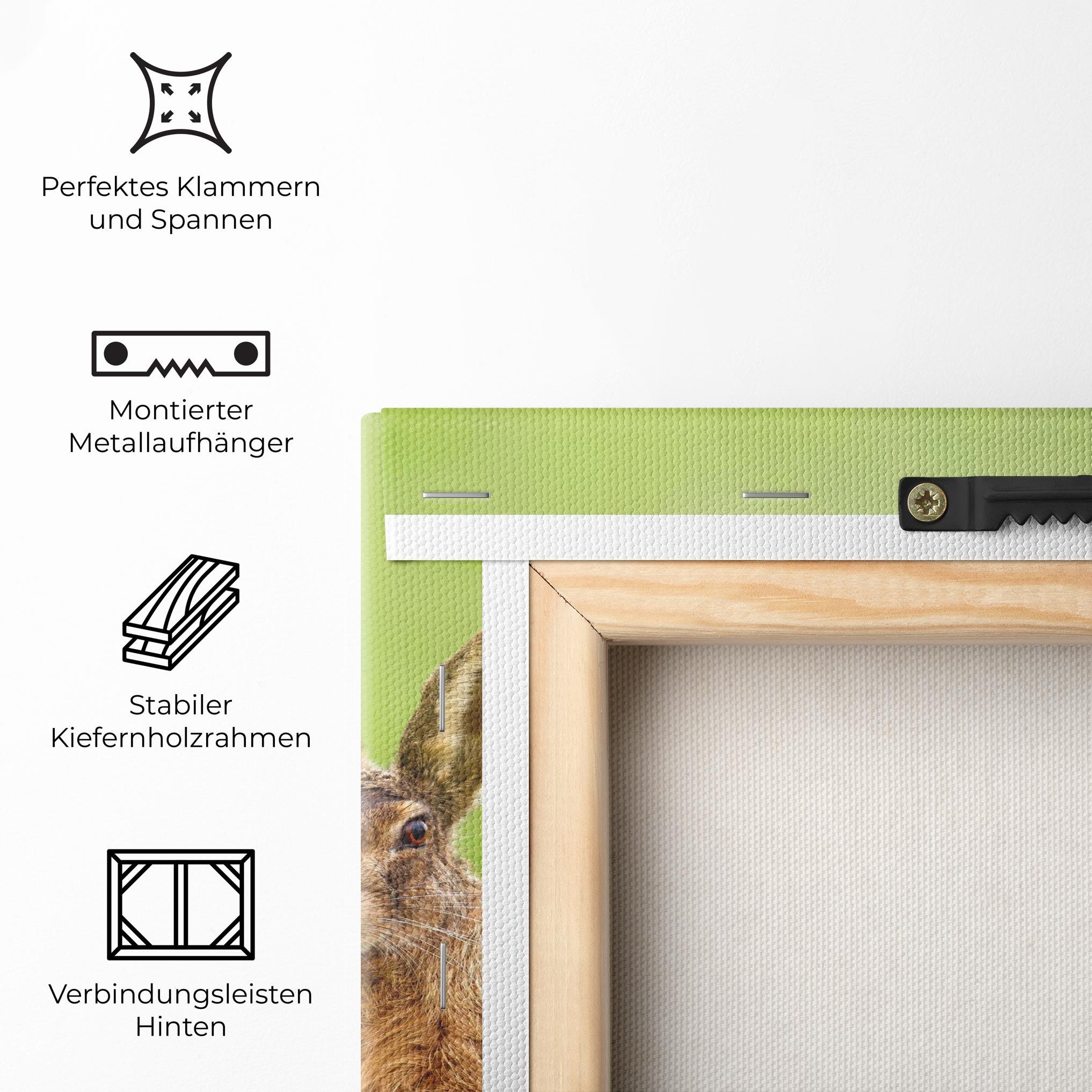 Leinwandbild Brown Hares mockup 5
