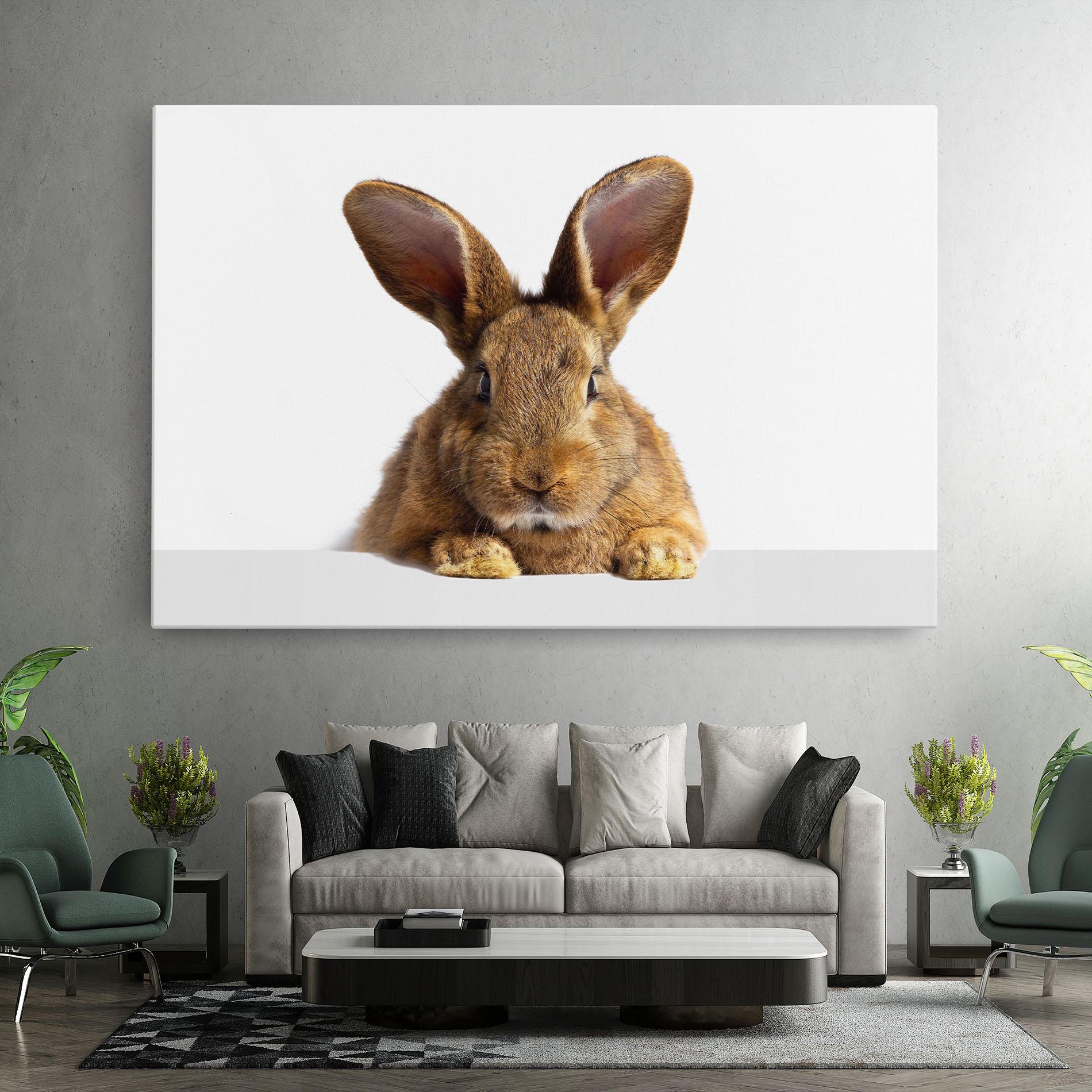Leinwandbild Brown Cute Bunny mockup 7
