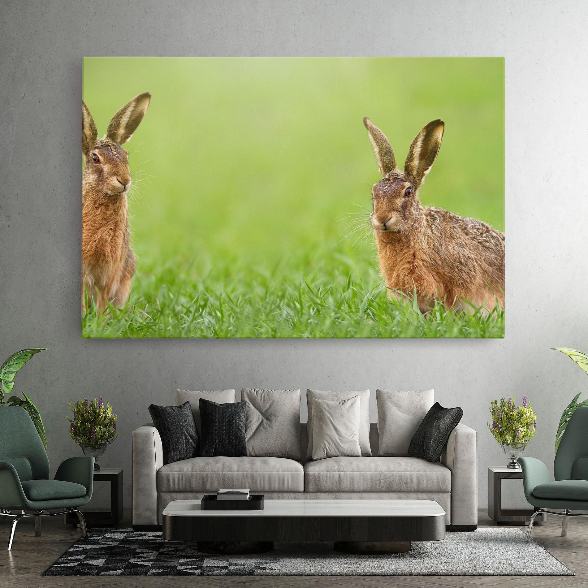 Leinwandbild Brown Hares mockup 7