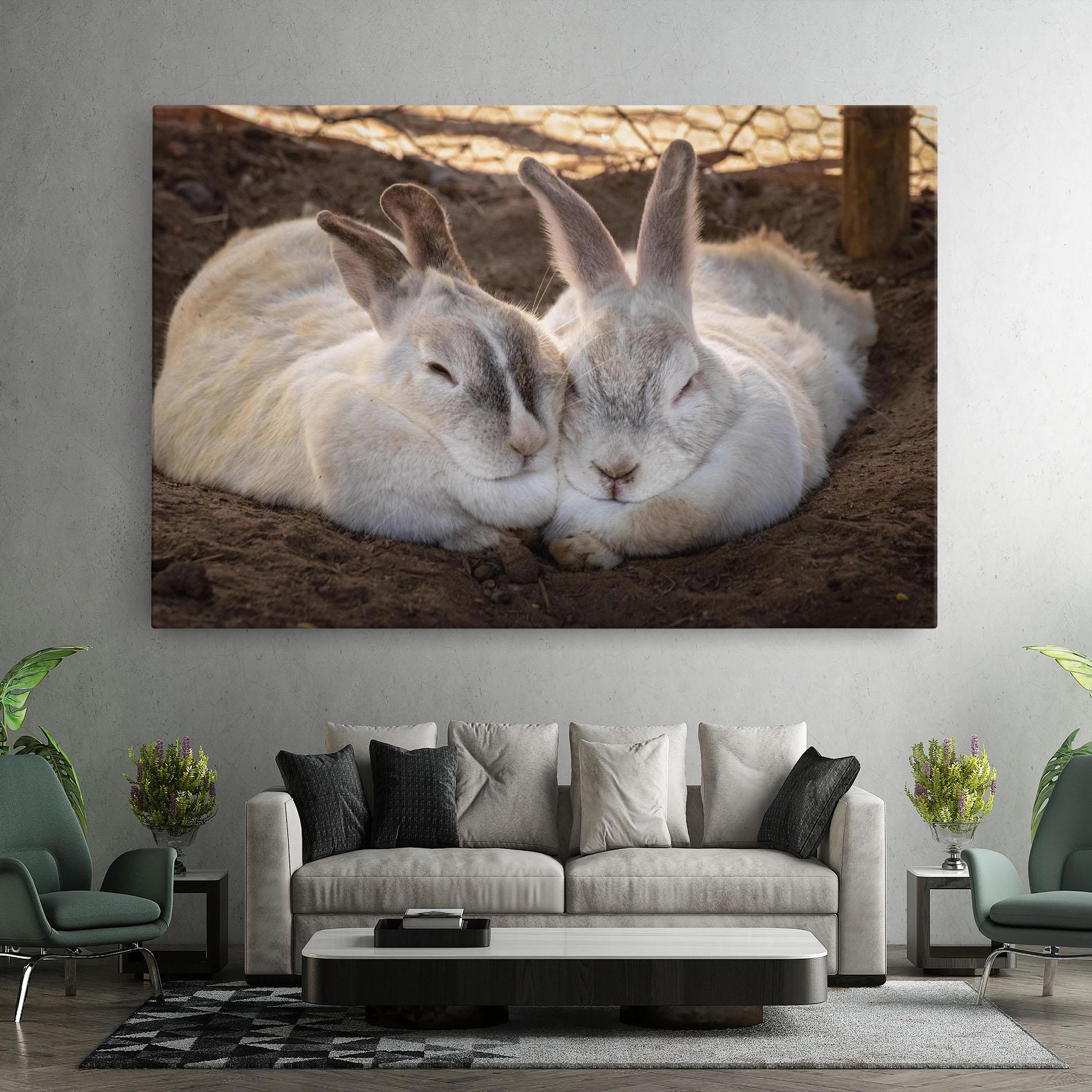 Leinwandbild Light Grey Bunny Sleeping mockup 7