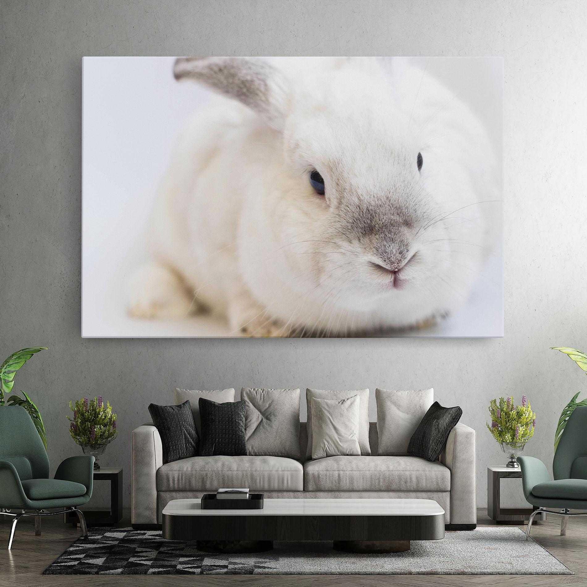 Leinwandbild Light Grey Bunny mockup 7