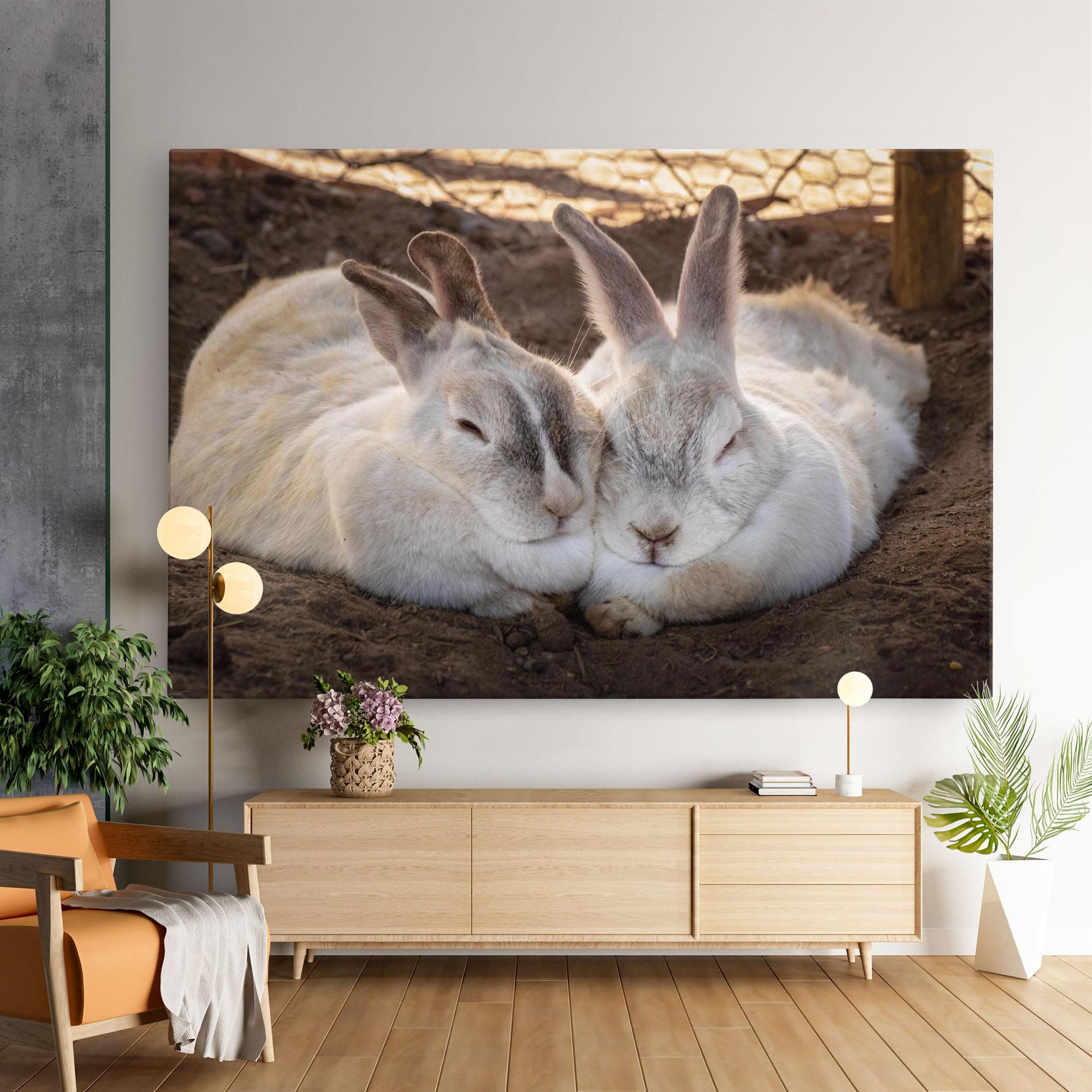 Leinwandbild Light Grey Bunny Sleeping mockup 9
